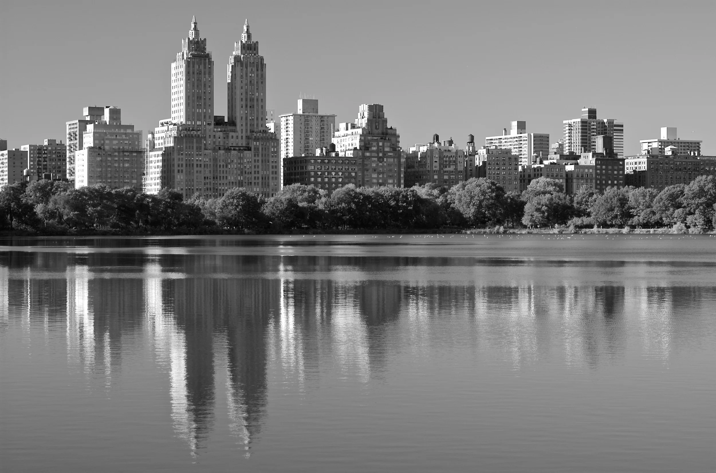newyork_centralpark.jpg