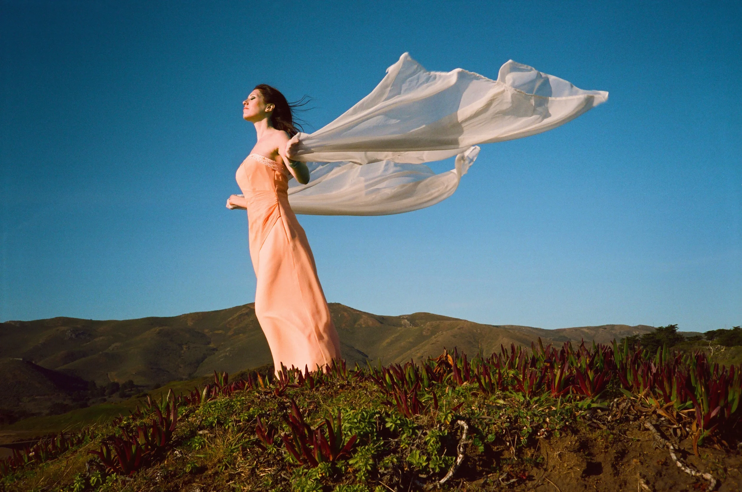 dress_gown_3.jpg