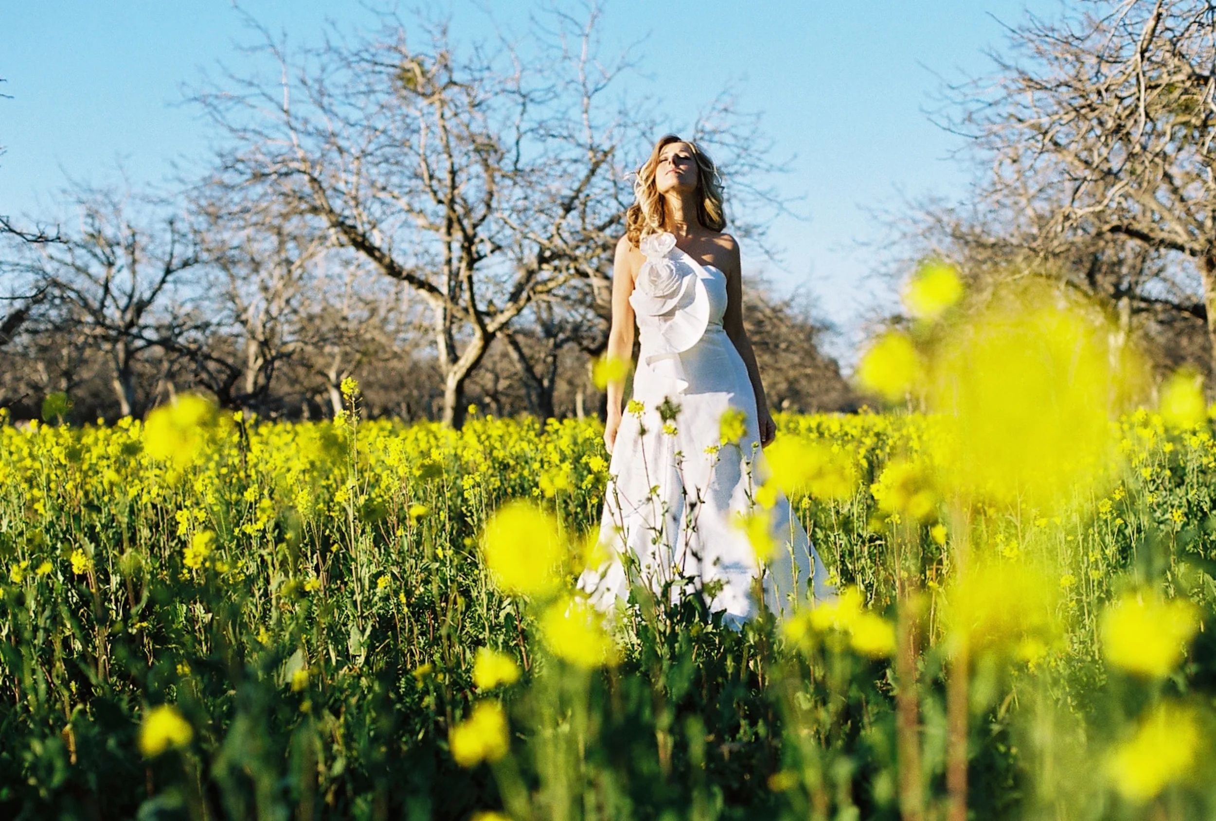 dress_gown_14.jpg