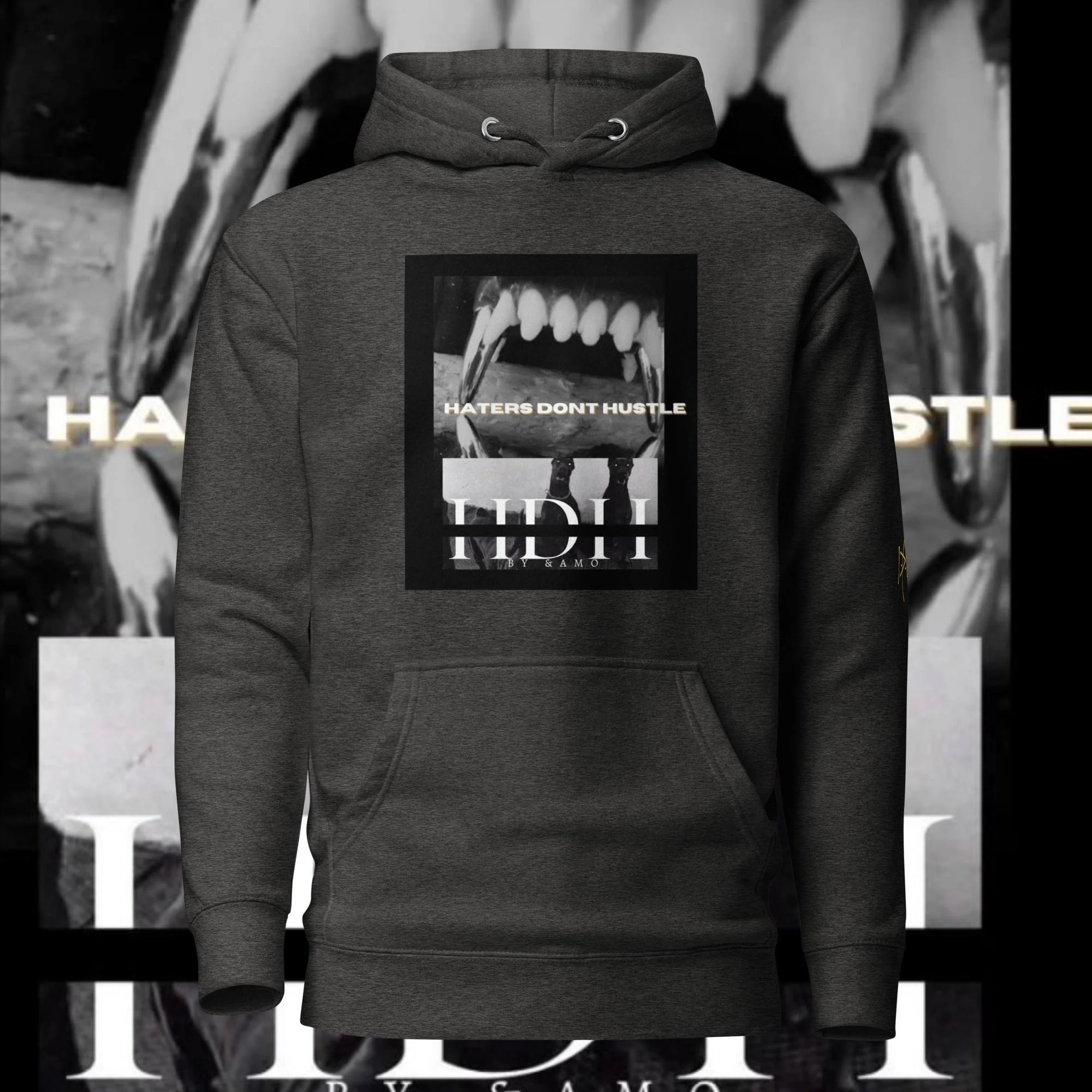 unisex-premium-hoodie-charcoal-heather-front-667339a36cae9.jpg