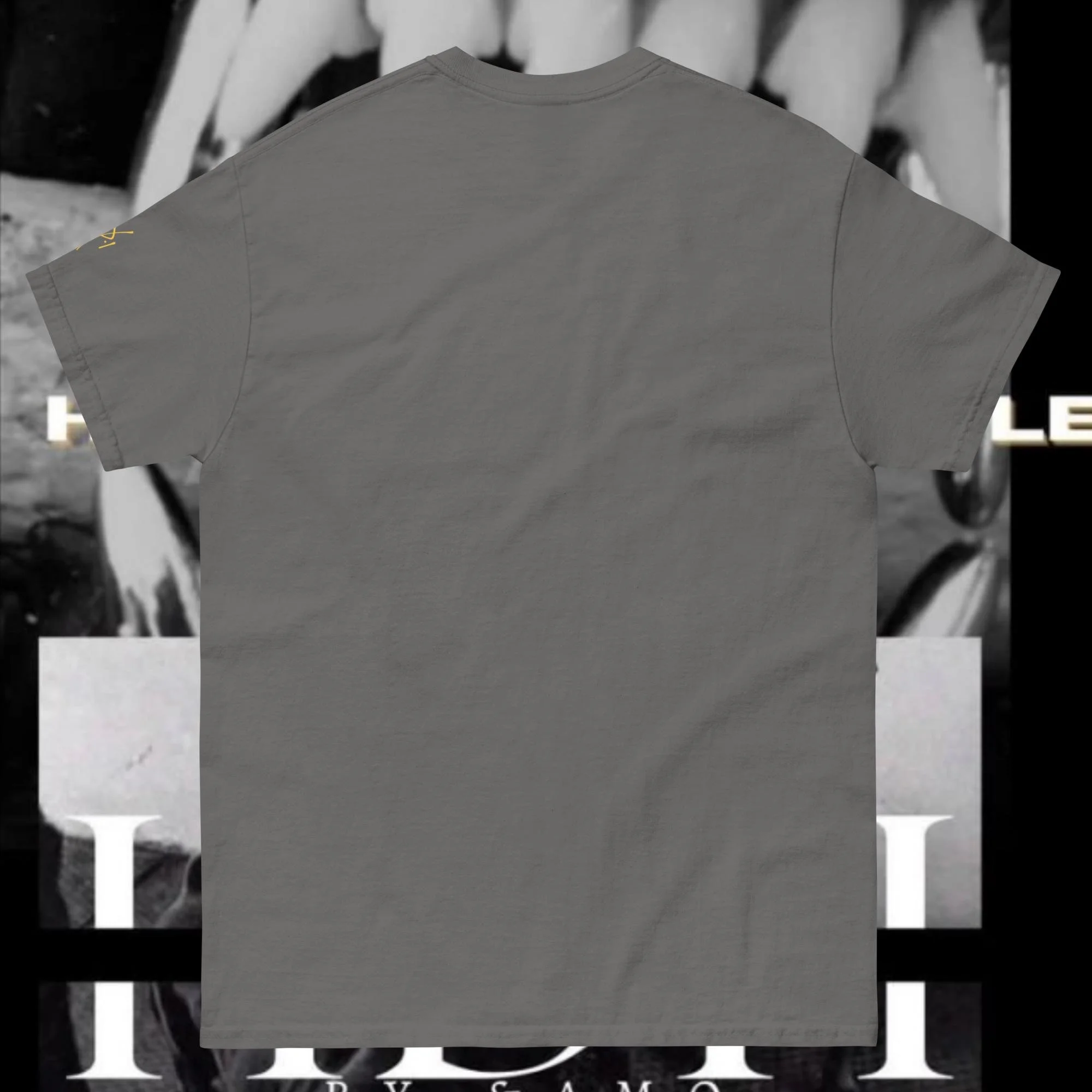 unisex-classic-tee-charcoal-back-674bc375bb386.jpg