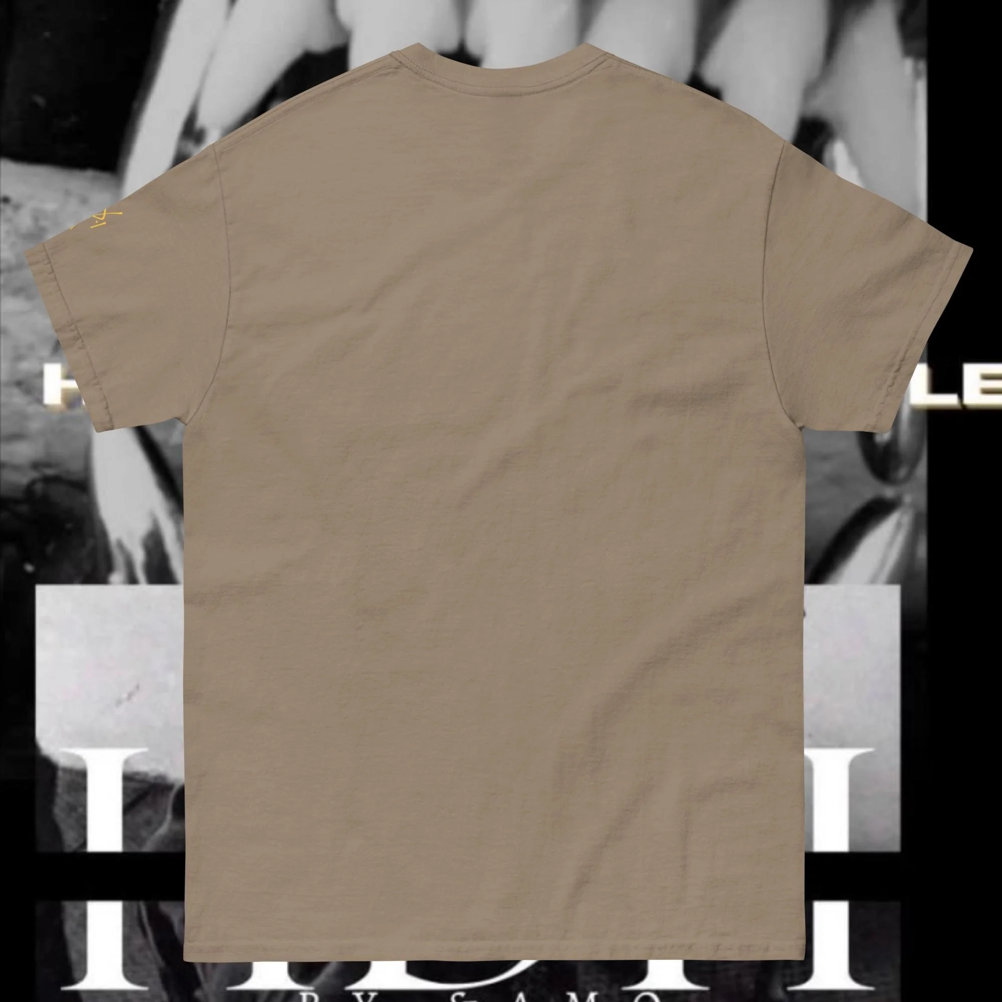 unisex-classic-tee-brown-savana-back-674bc37485474.jpg