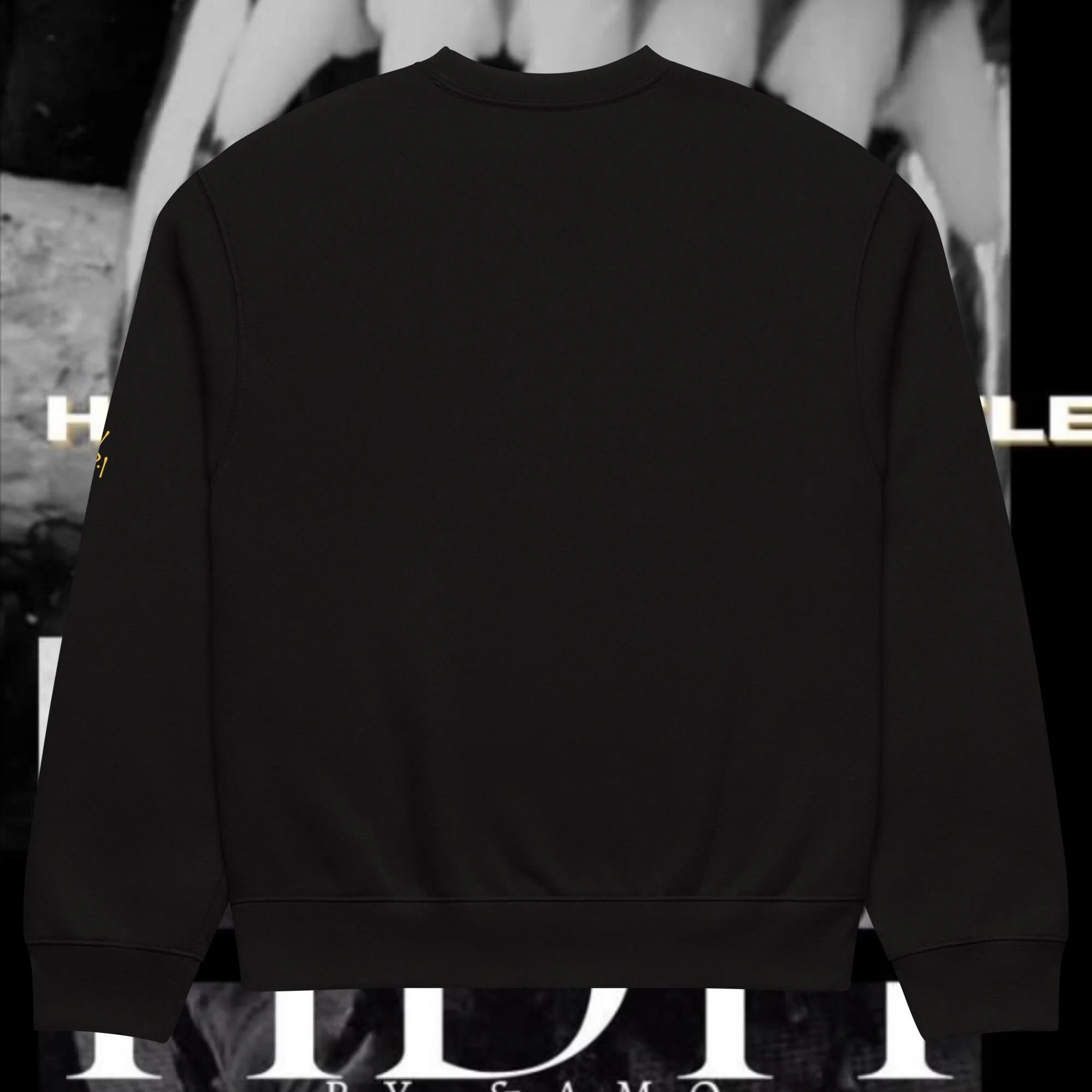 unisex-oversized-heavyweight-sweatshirt-black-back-68e33f6b24076.jpg