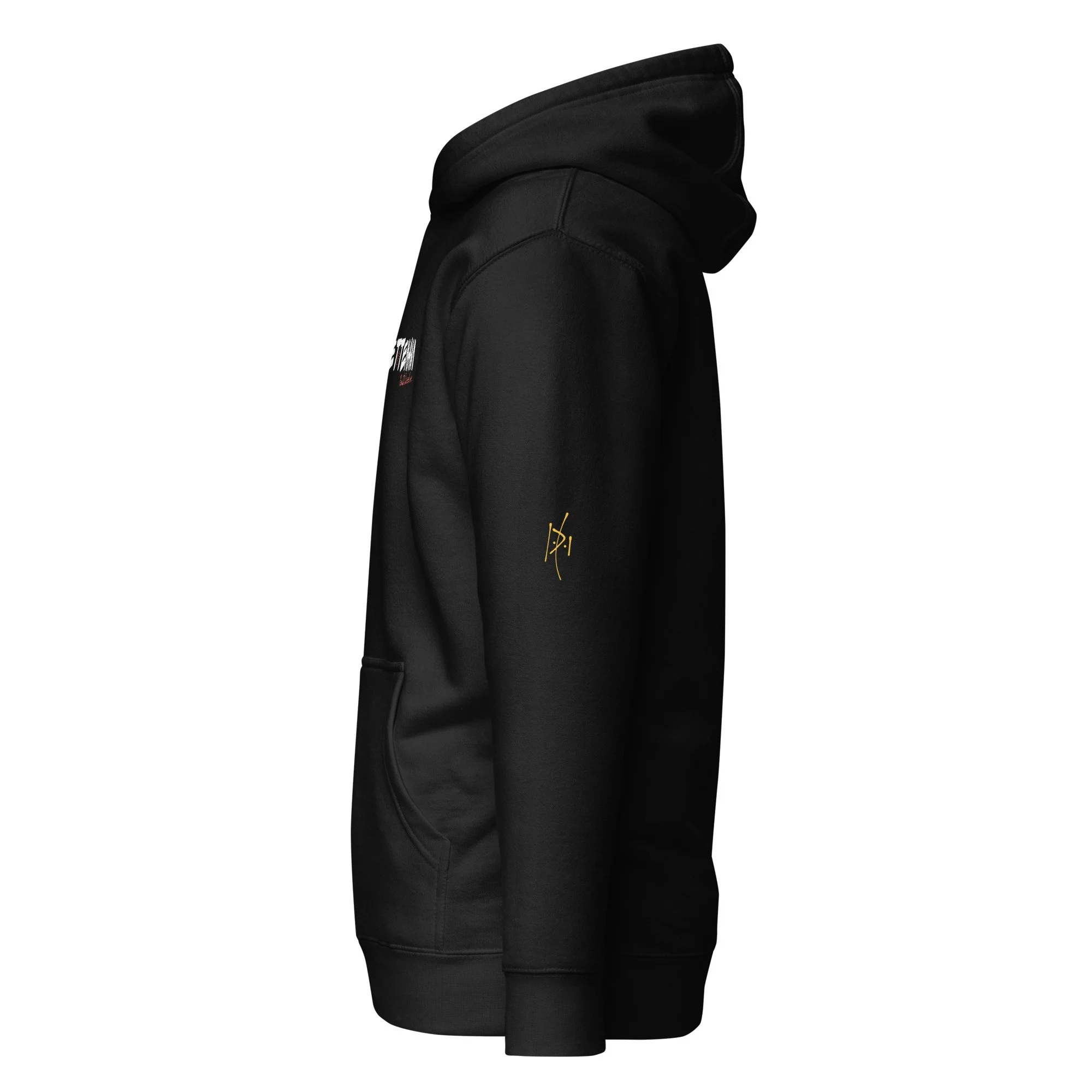unisex-premium-pullover-hoodie-black-left-6a585473abc8b.jpg