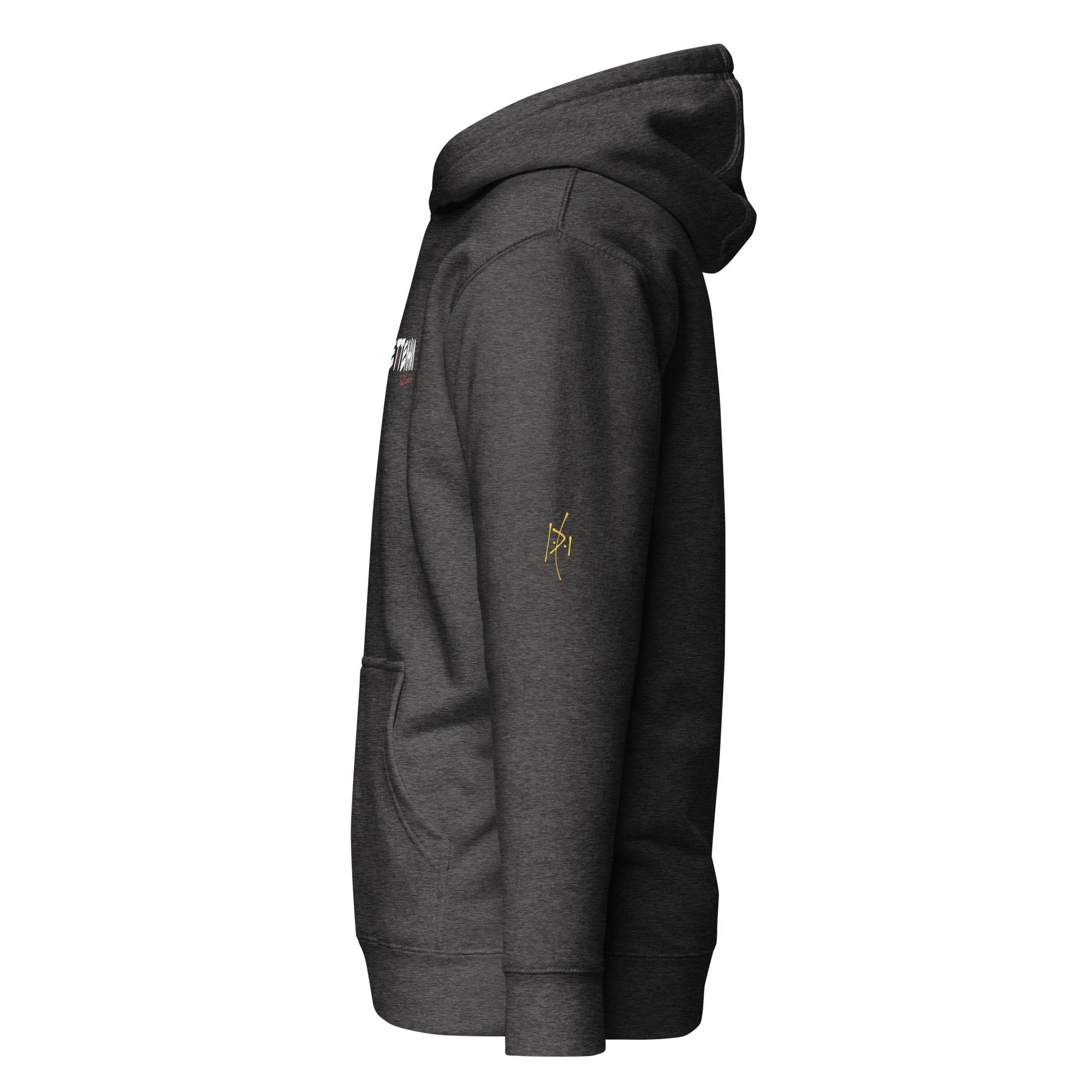 unisex-premium-pullover-hoodie-charcoal-heather-left-6a585473abd6e.jpg