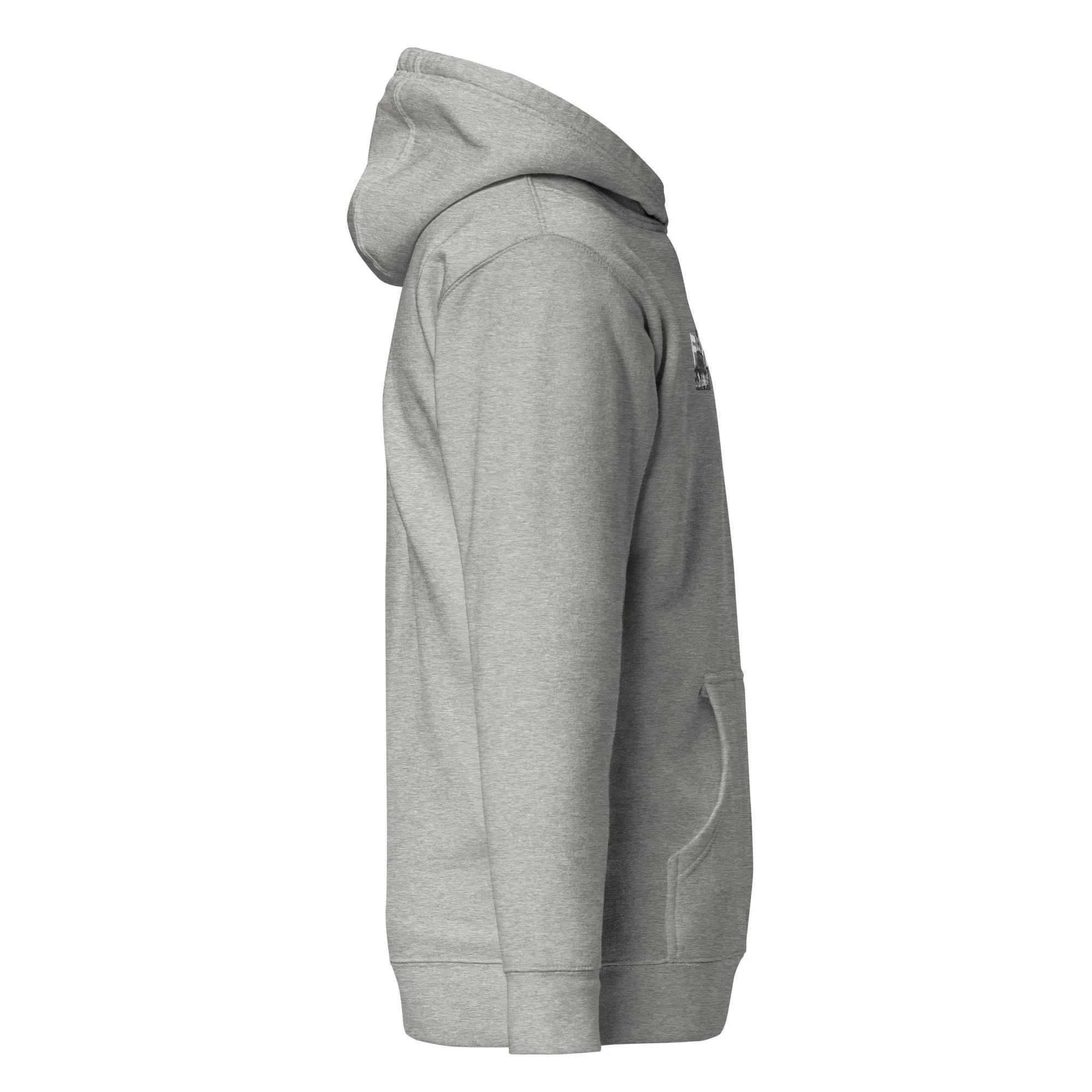 unisex-premium-pullover-hoodie-carbon-grey-right-6a585473acef9.jpg