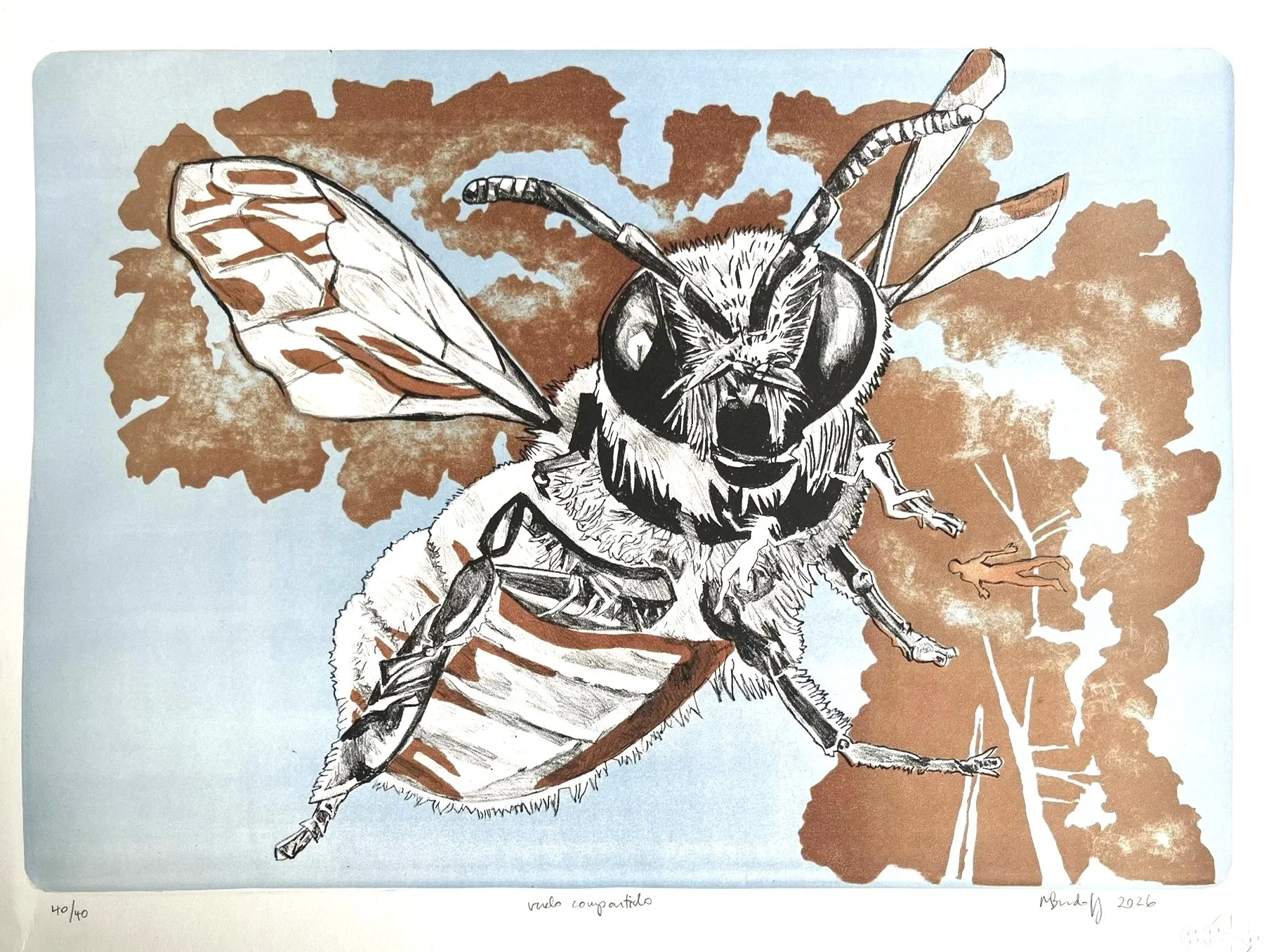 Vuelo compartido, 2026, lithograph, 14” x 22”