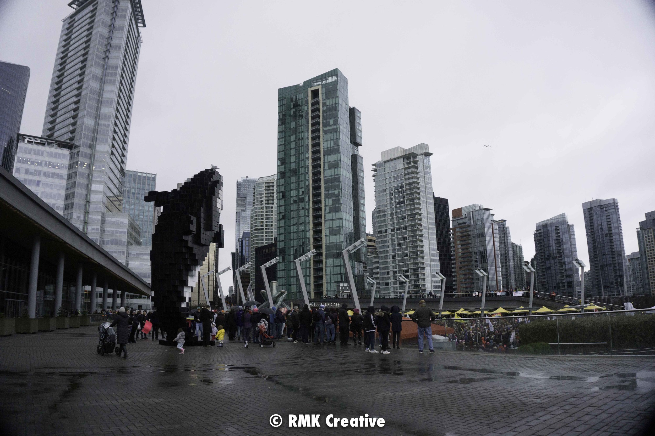 2018.01.20 Women's March Vancouver watermark-37.jpg