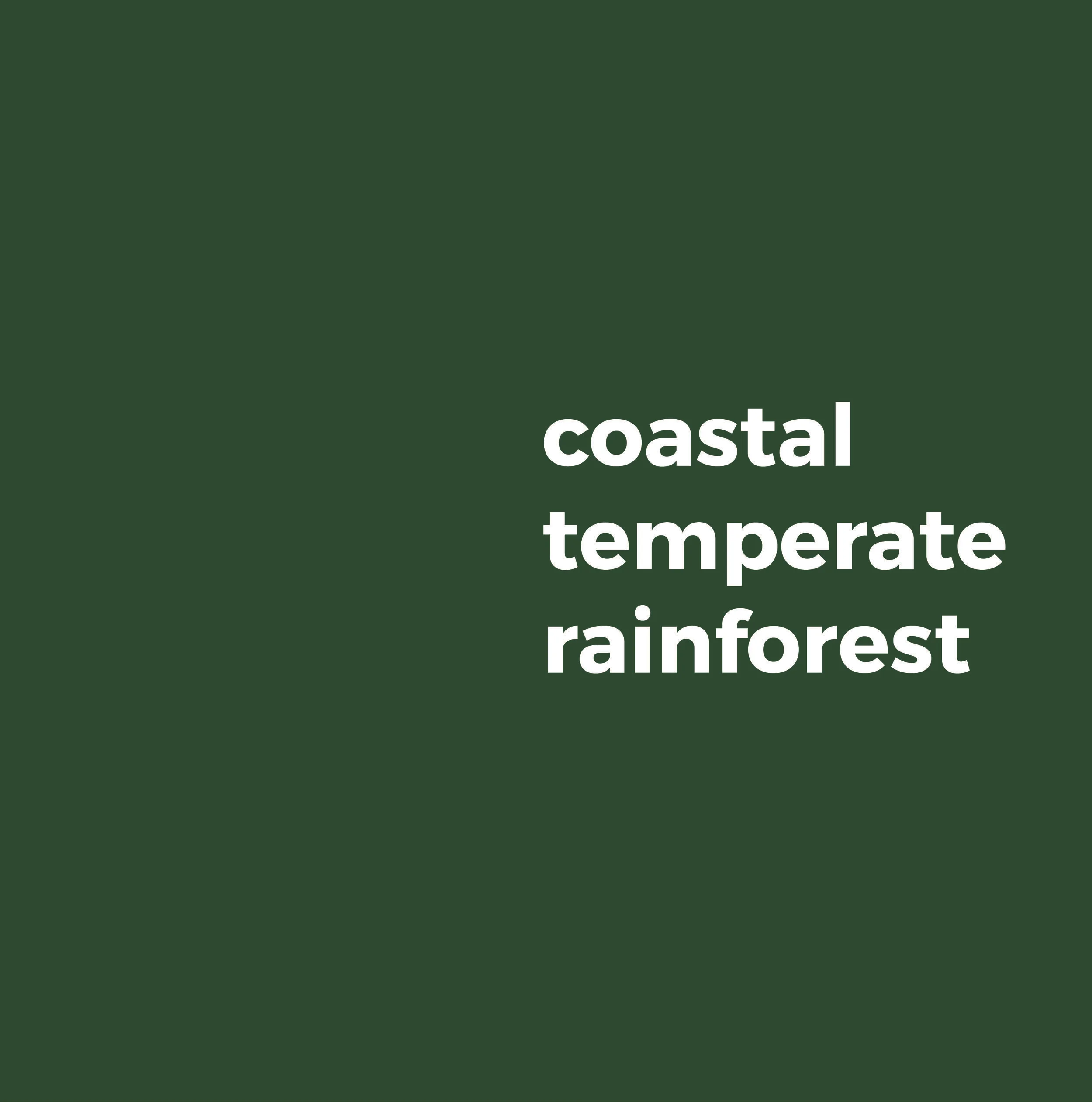 Coastal temperate rainforest.jpg