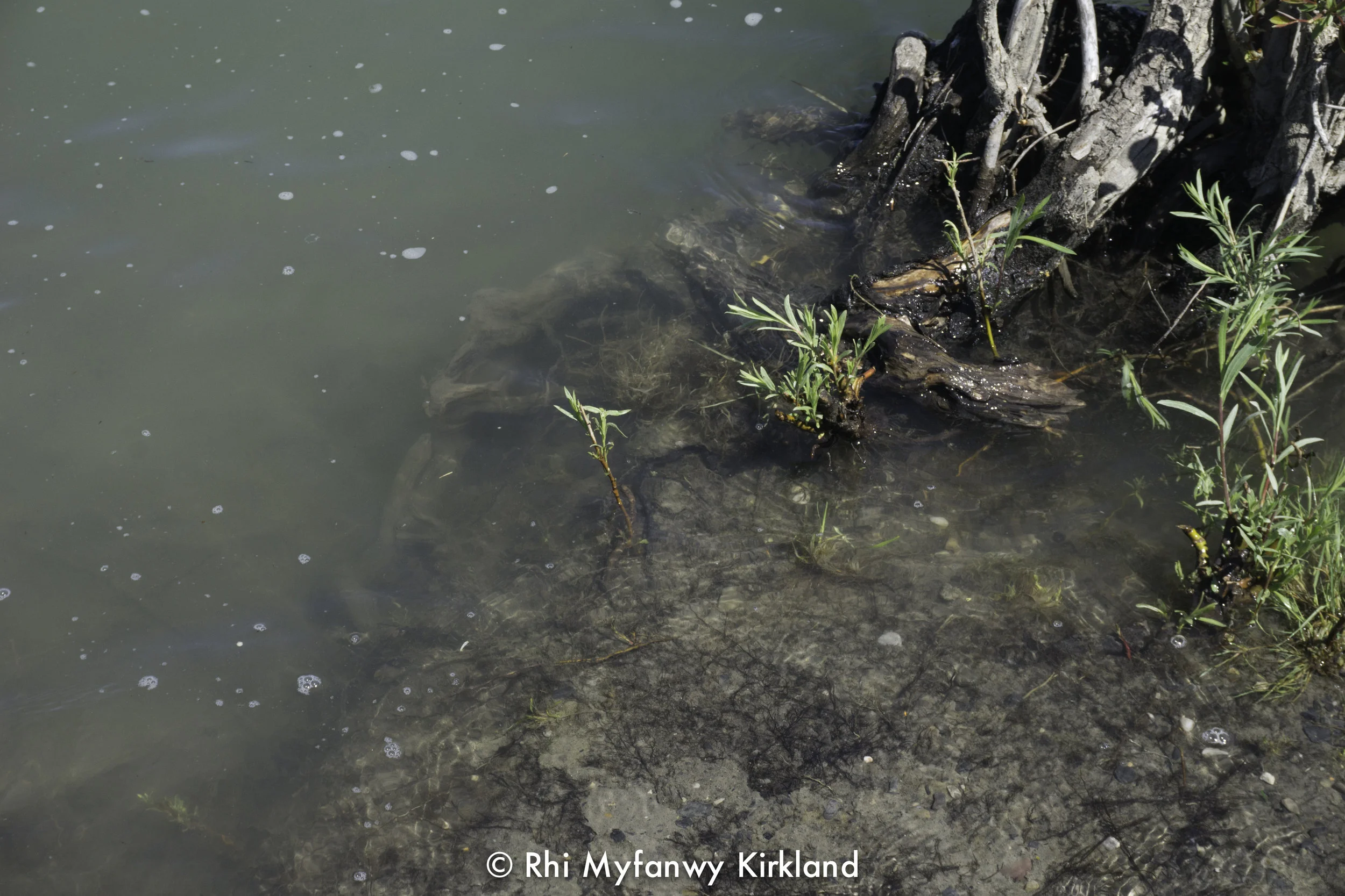 2018.05.26 watermark-5.jpg