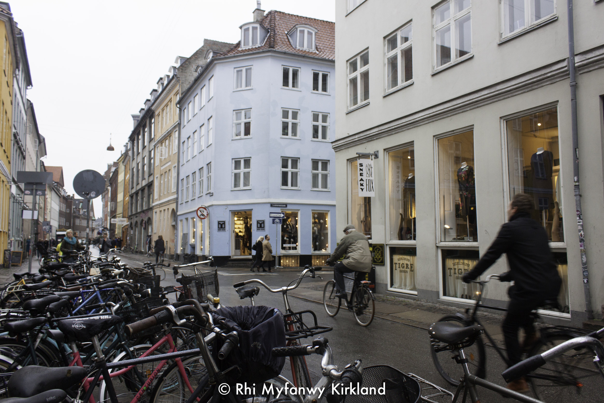 2015-12-19 Copenhagen watermark-6.jpg