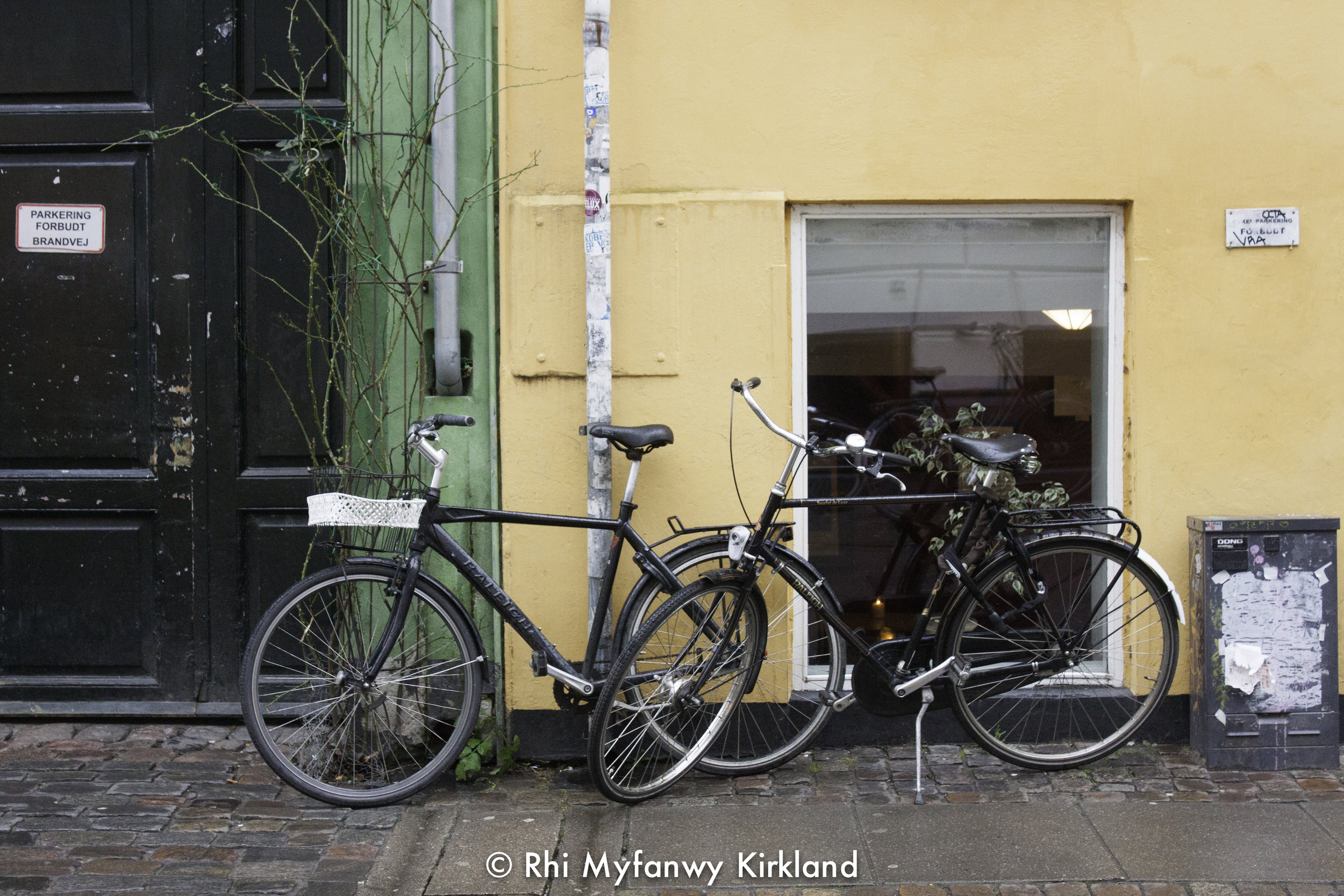 2015-12-19 Copenhagen watermark-10.jpg