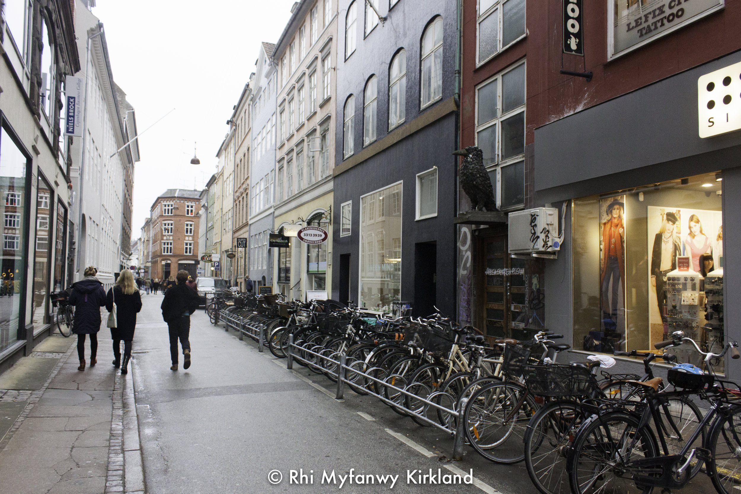 2015-12-19 Copenhagen watermark-23.jpg