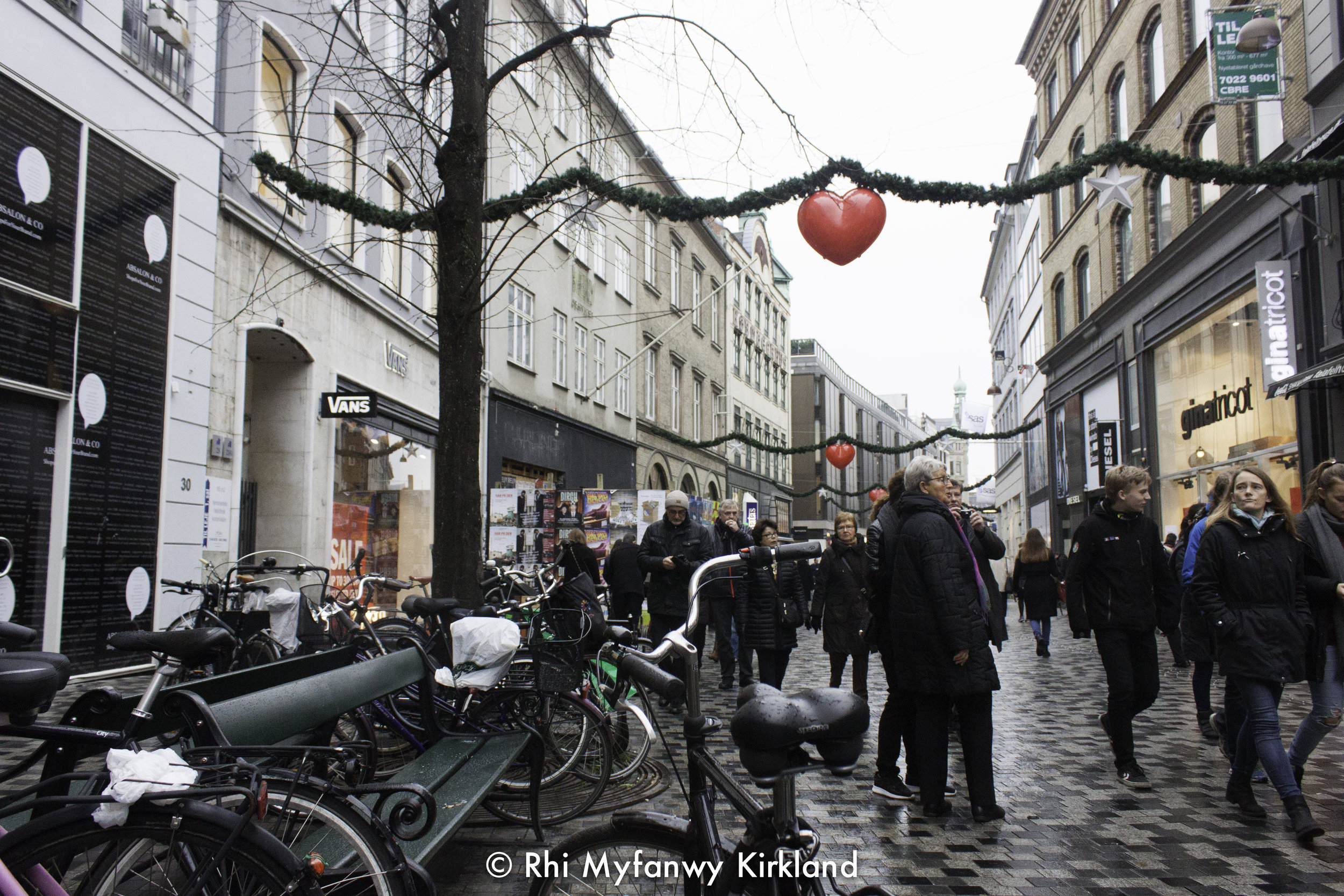 2015-12-19 Copenhagen watermark-24.jpg