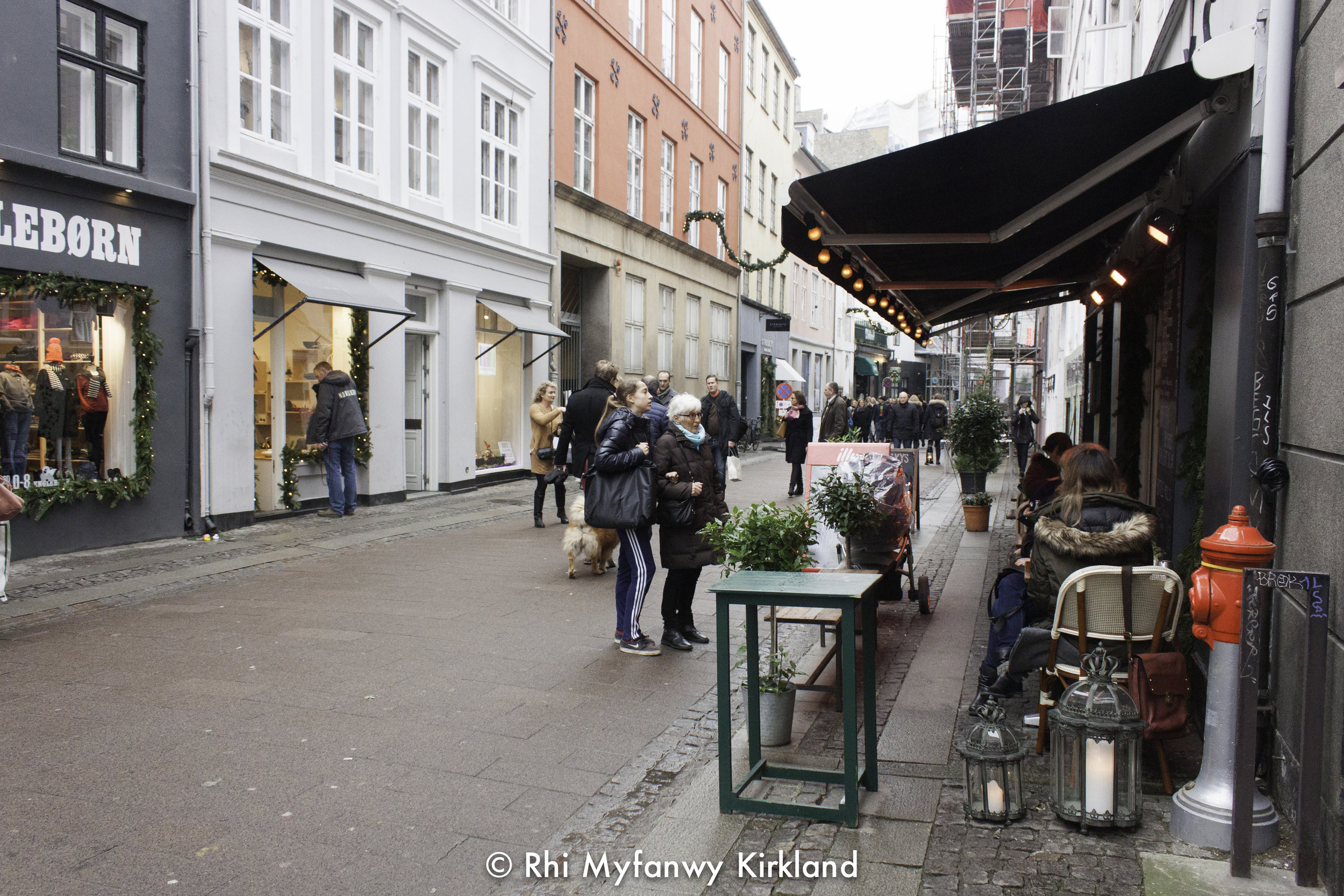 2015-12-19 Copenhagen watermark-29.jpg