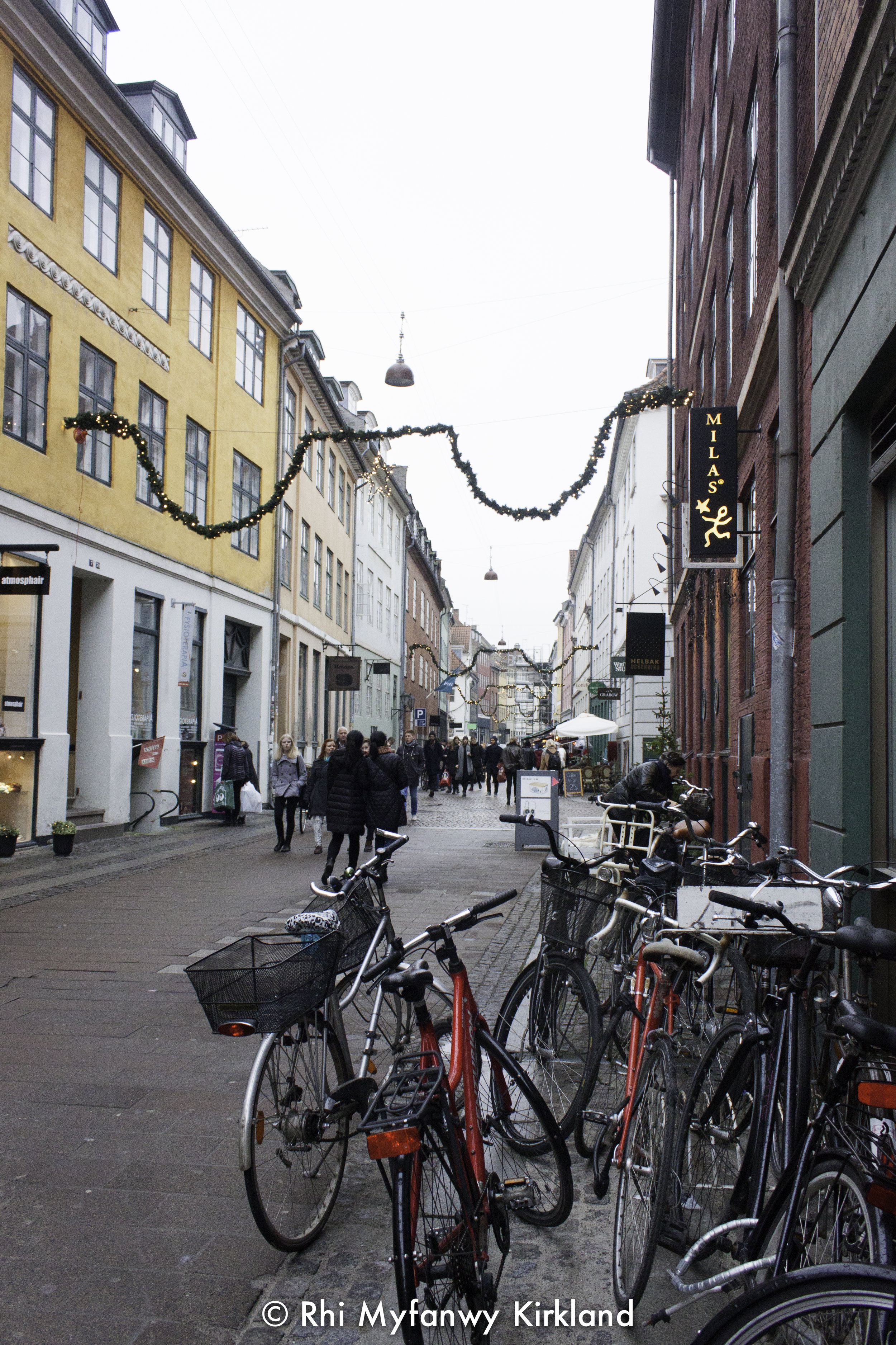 2015-12-19 Copenhagen watermark-34.jpg