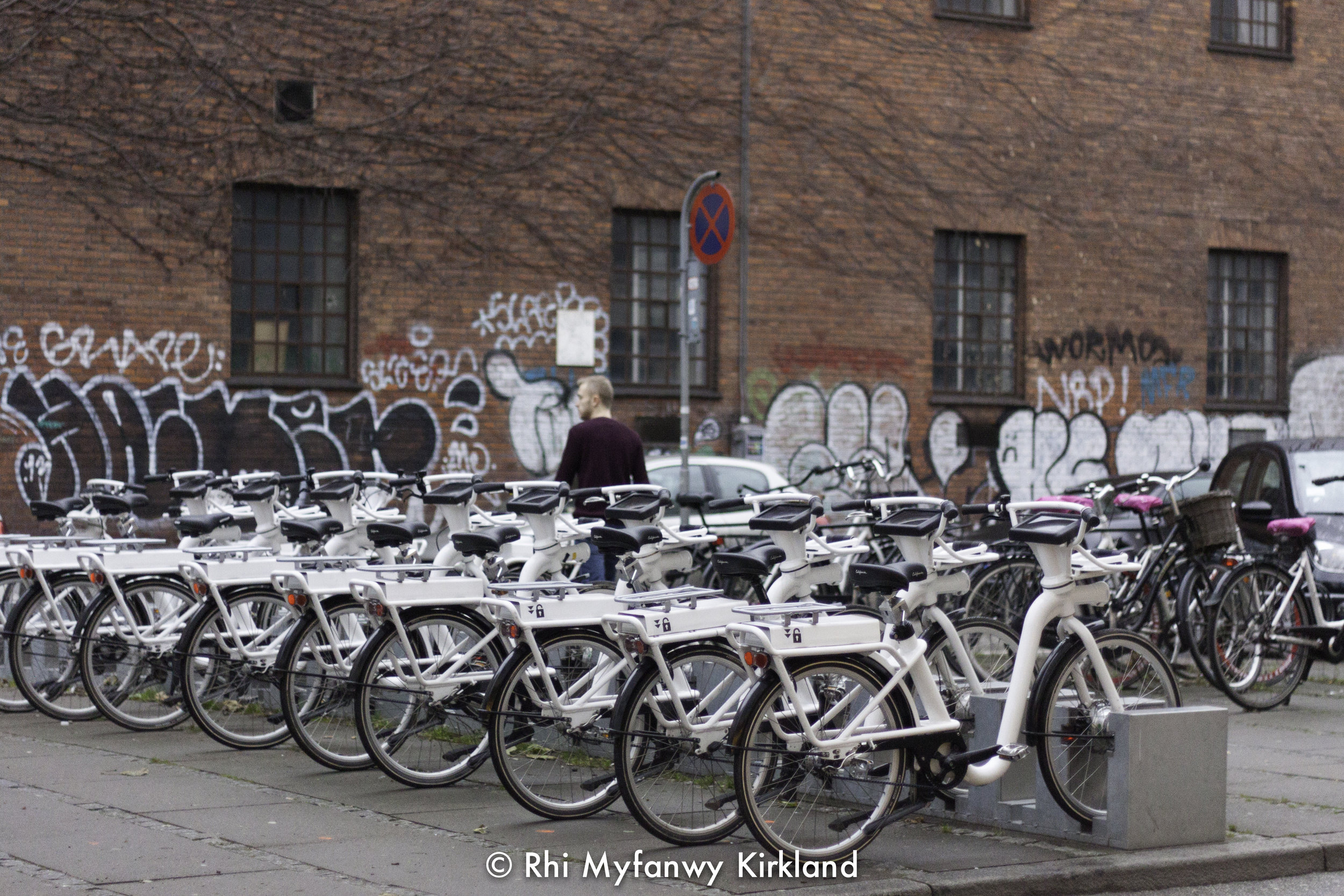 2015-12-19 Copenhagen watermark-51.jpg