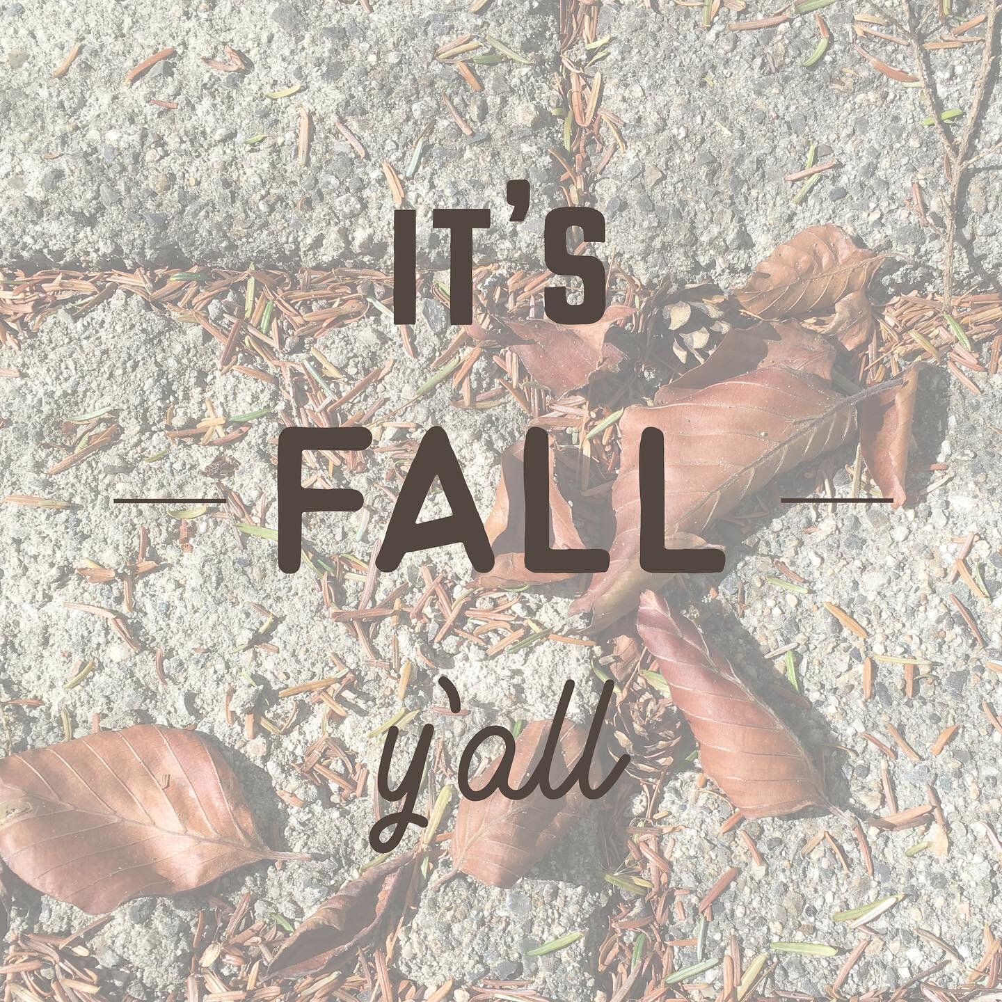 Happy Fall Equinox. It&rsquo;s fall y&rsquo;all and I for one am excited. I&rsquo;m seeing far more people posting about equinox than in the past. It&rsquo;s great to connect to the seasons and the cyclical changes in the world around us

#fall #autu