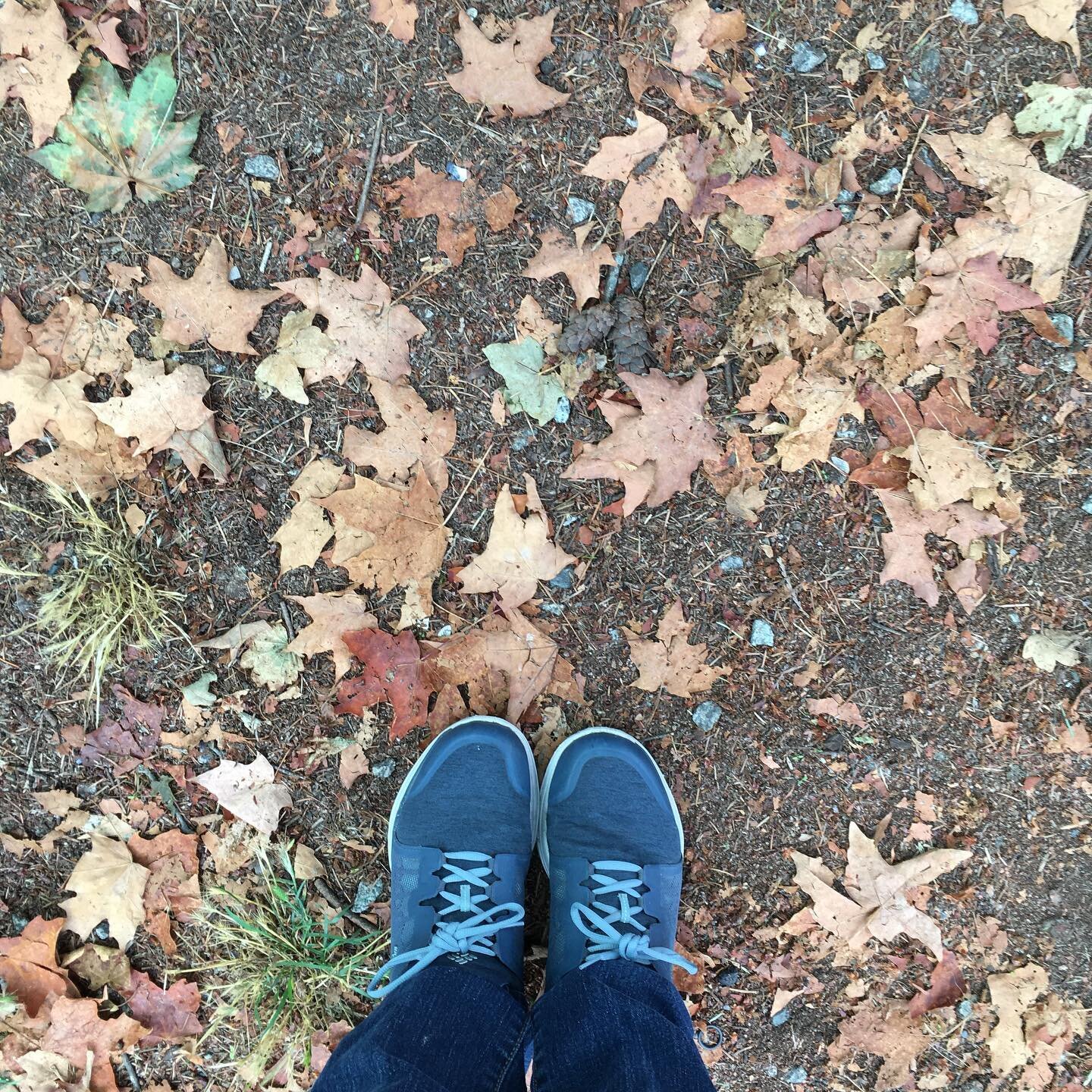 Enjoying fall

[shoes and leaves]

#vancouver #bc #fall #autumn