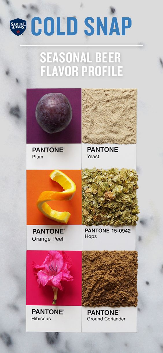 Artwork: Lucy Litman for Samuel Adams