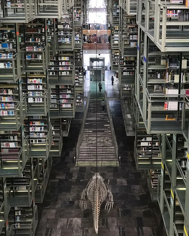 📚 | if you need me, I&rsquo;ll be hiding out in this library until the end of time.