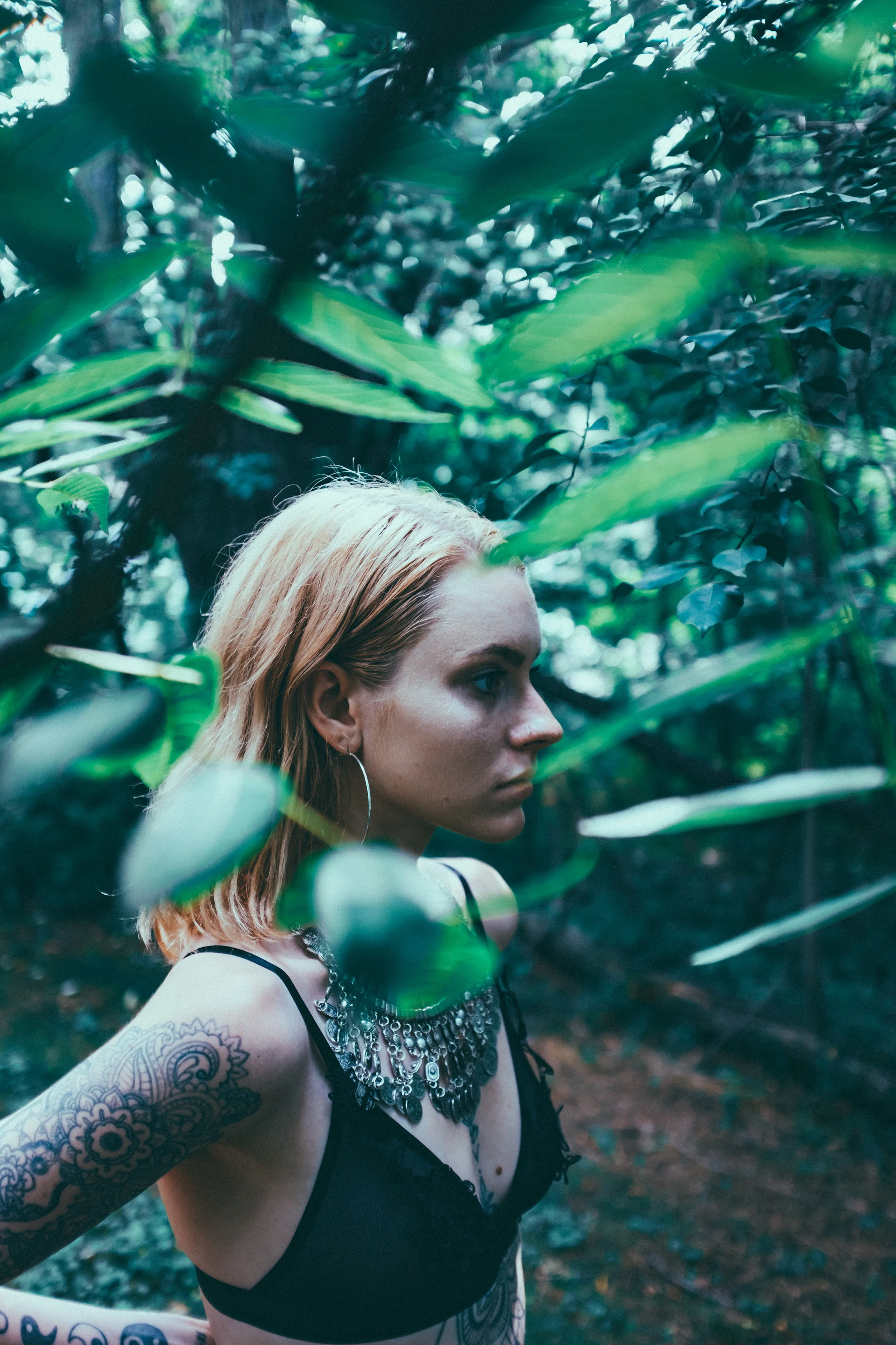 LINDS-2.jpg