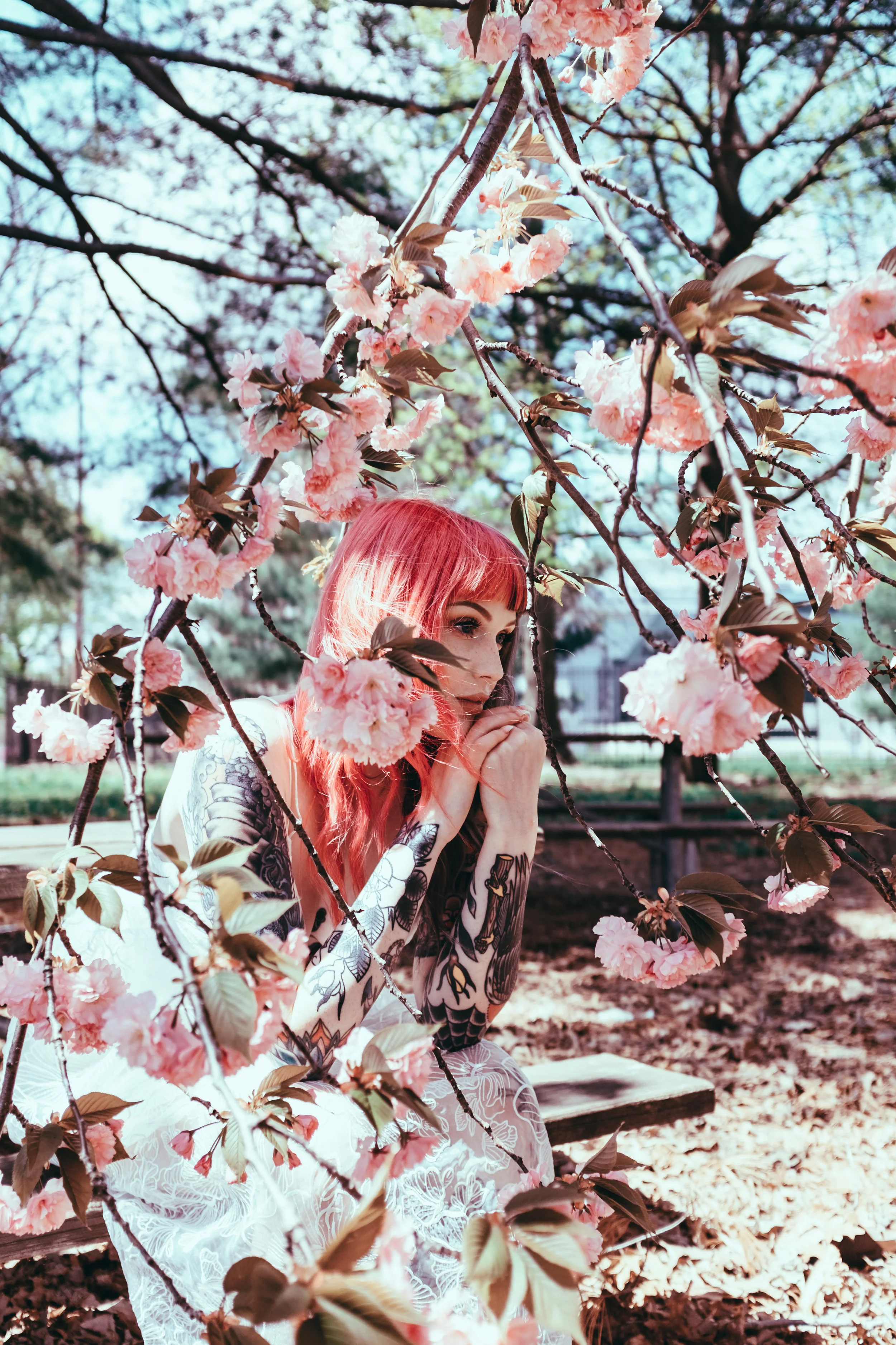 Emily-5.jpg