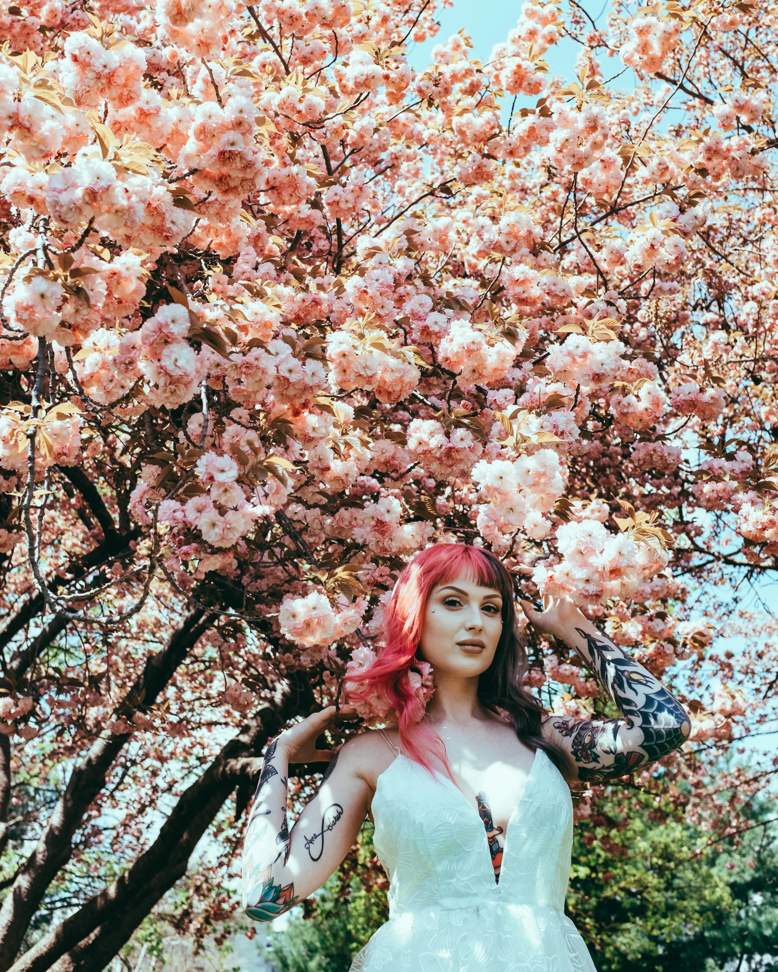 Emily-4.jpg