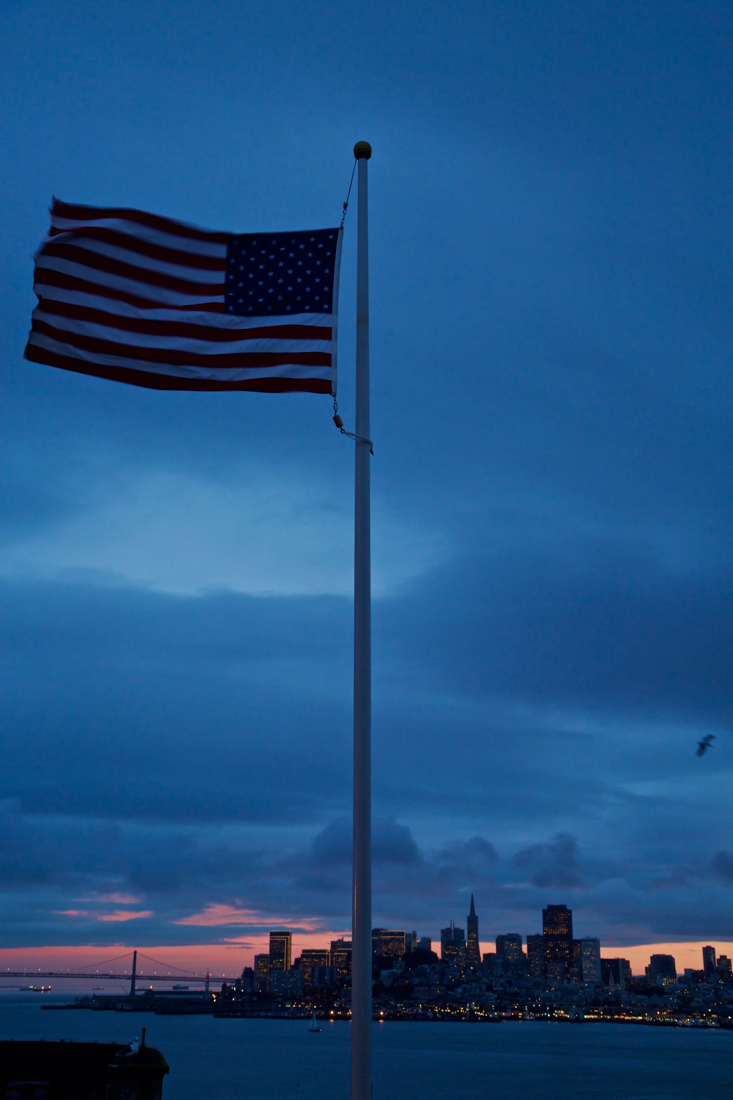 X58A3383.jpg