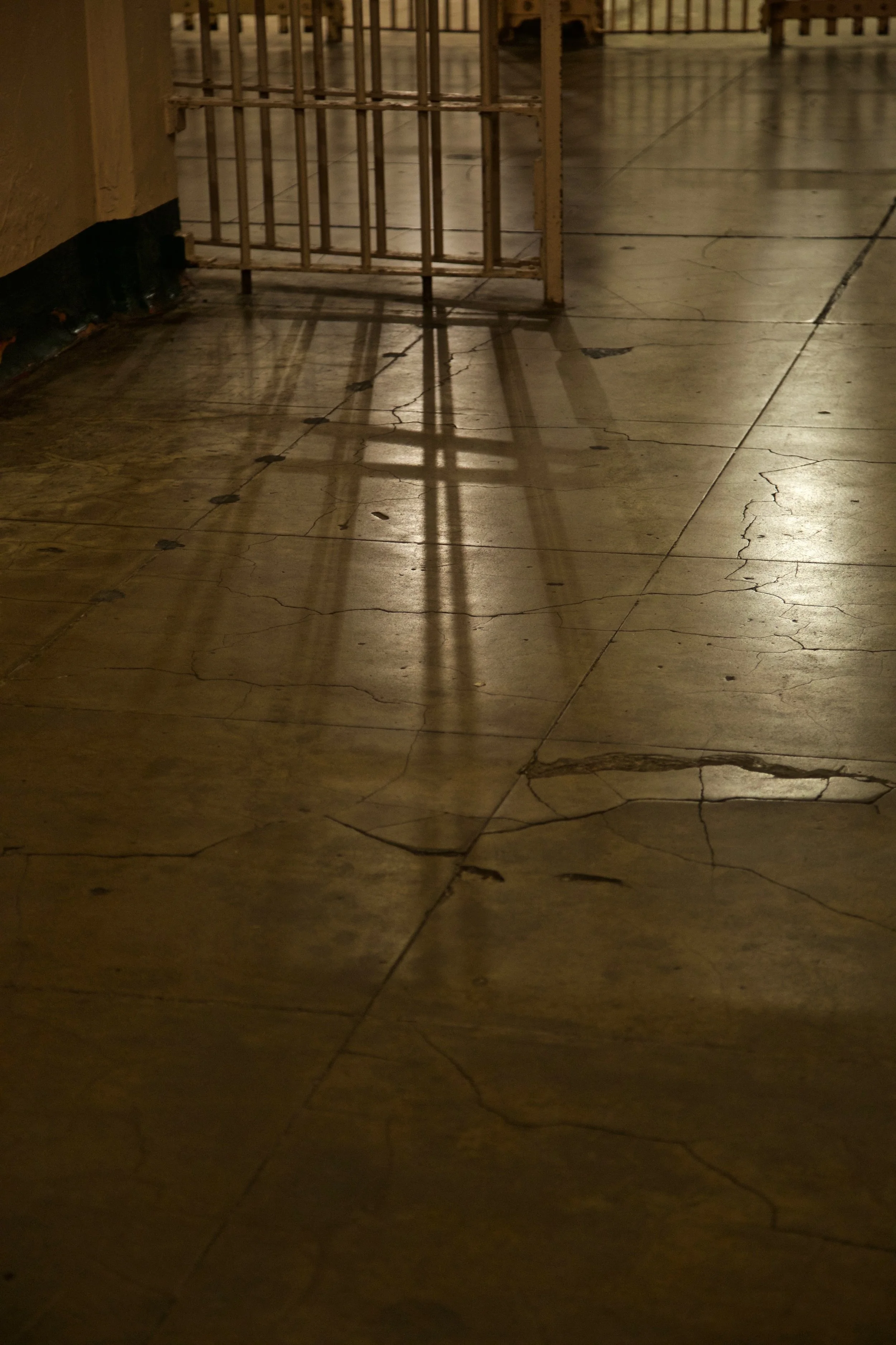 X58A3745.jpg