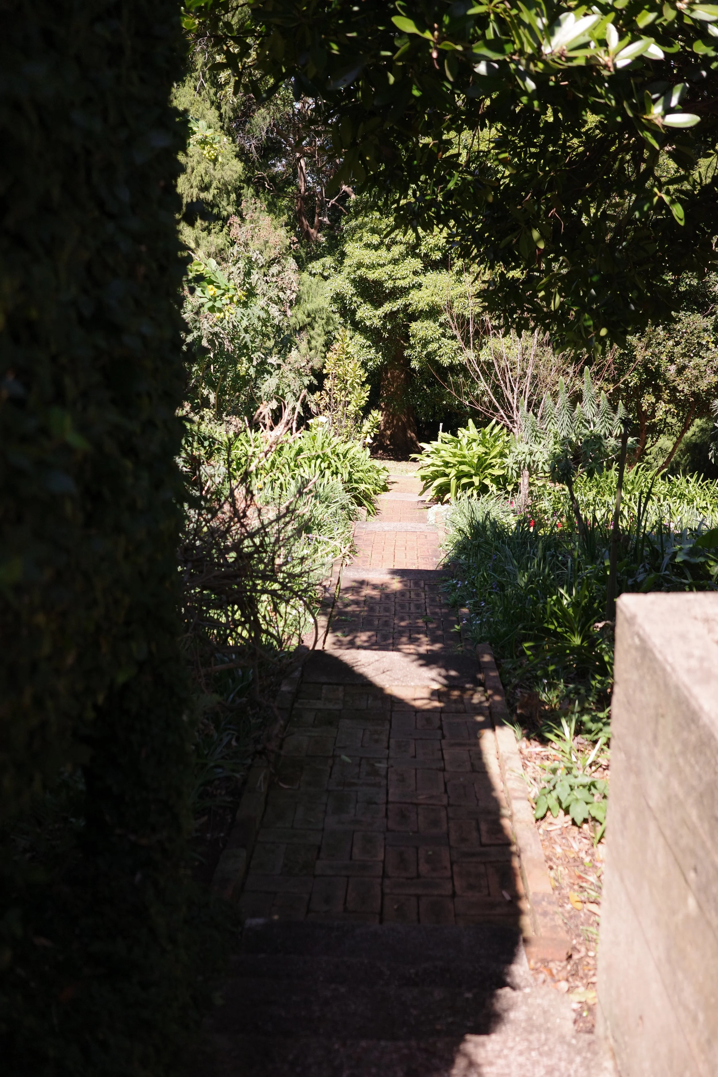 R0001960.JPG