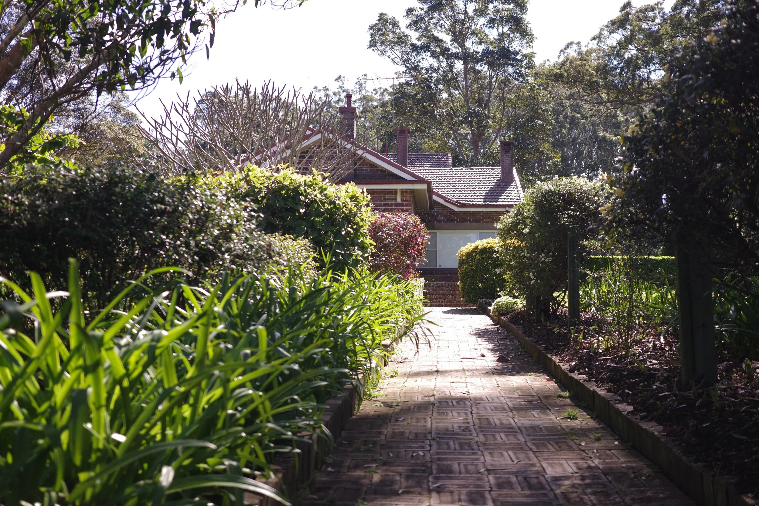 R0001967.JPG