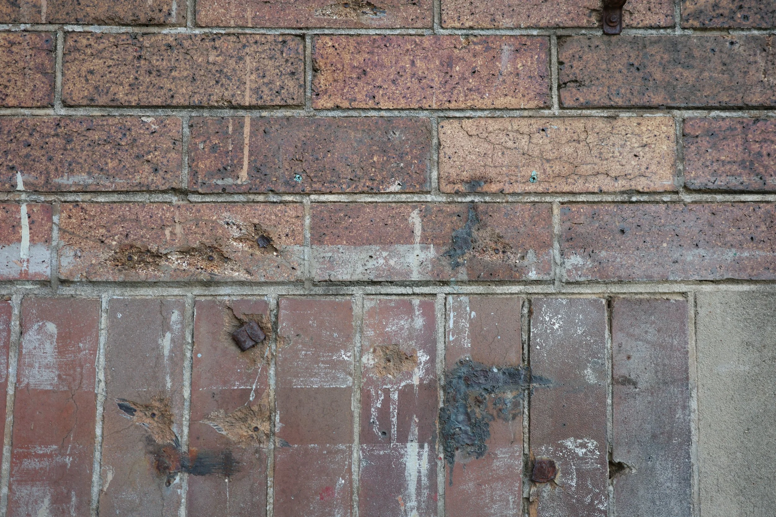 R0001630.JPG