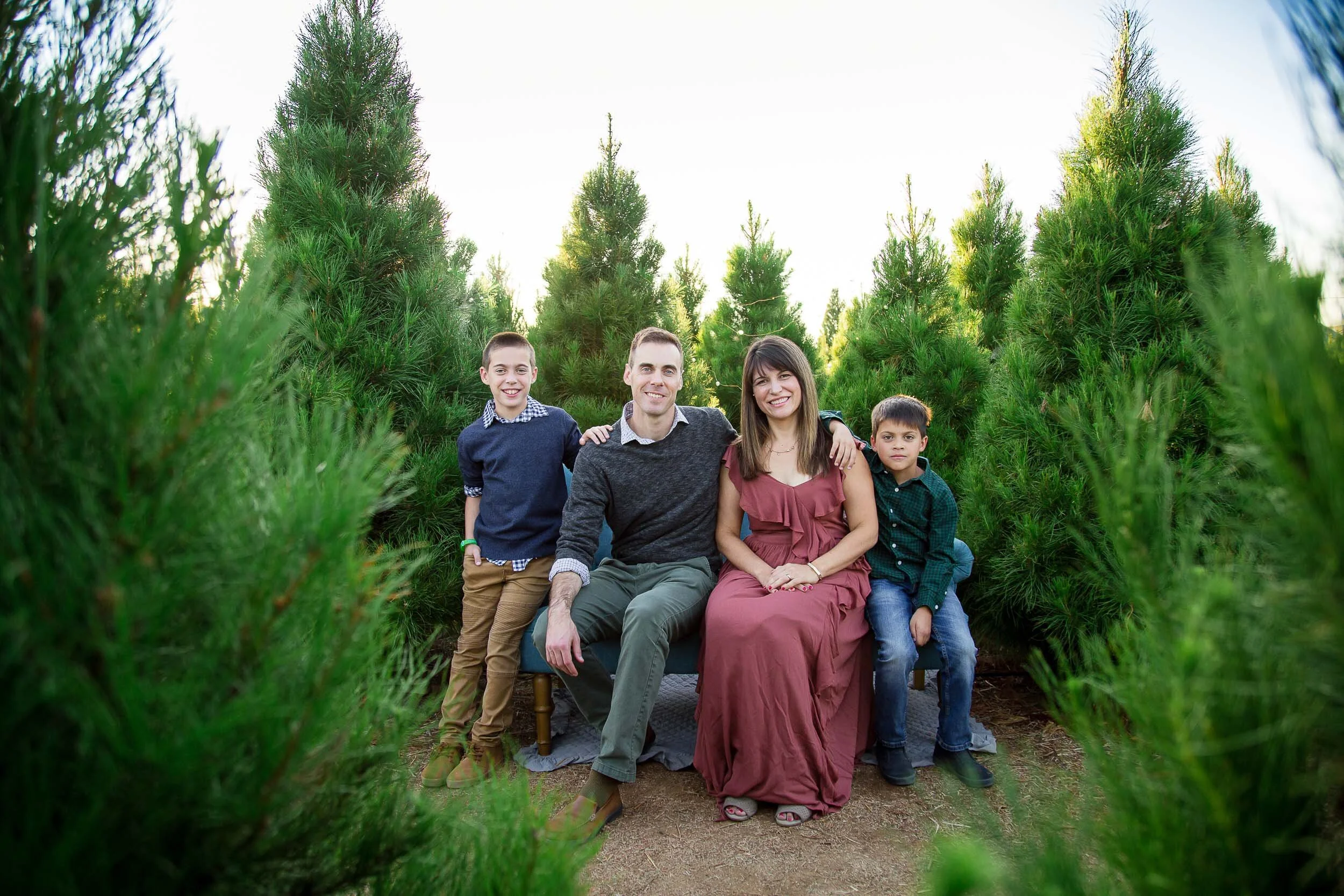 El Cajon Tree Farm Mini Session Goss Hermeyer Photography