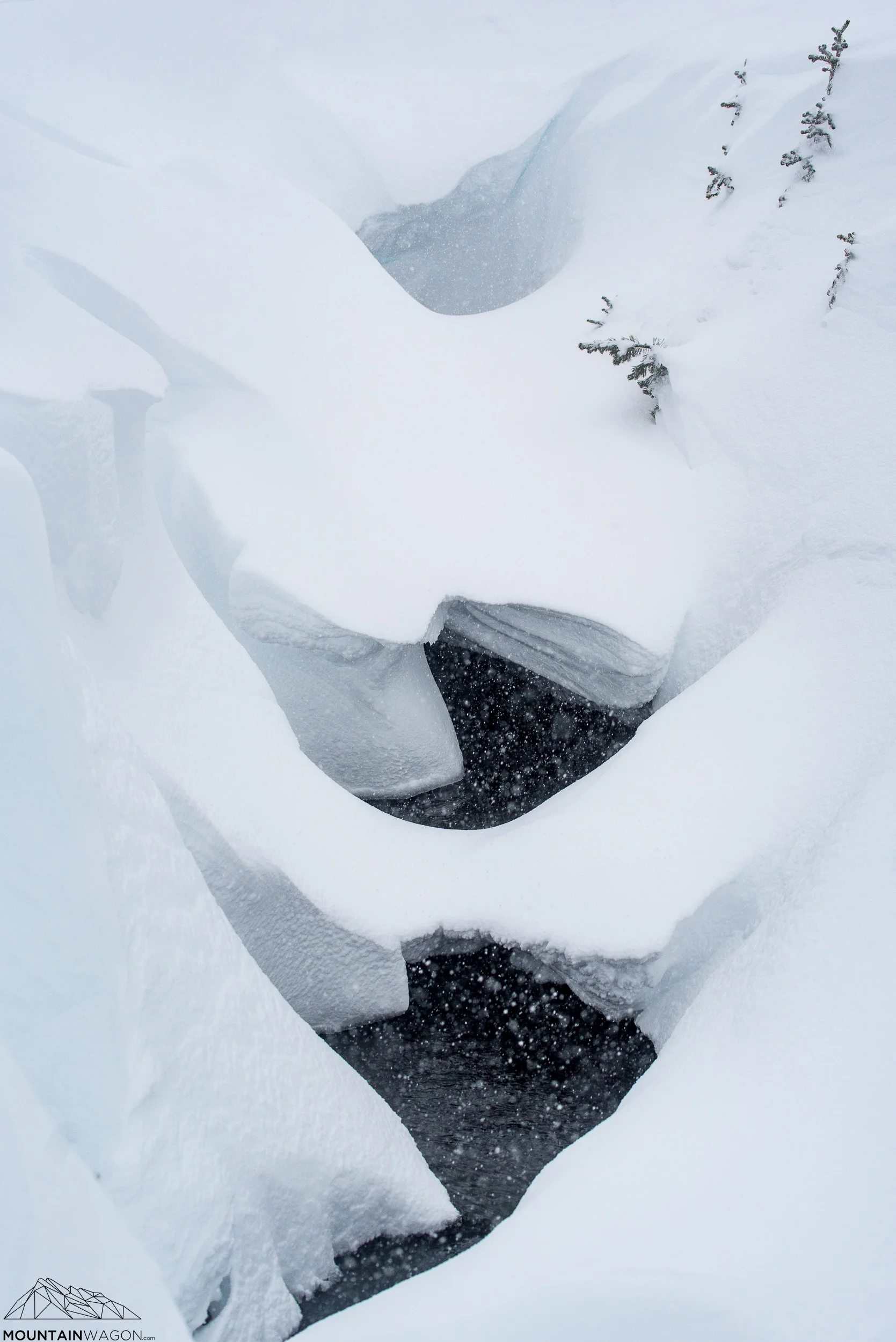_DSC5802.jpg