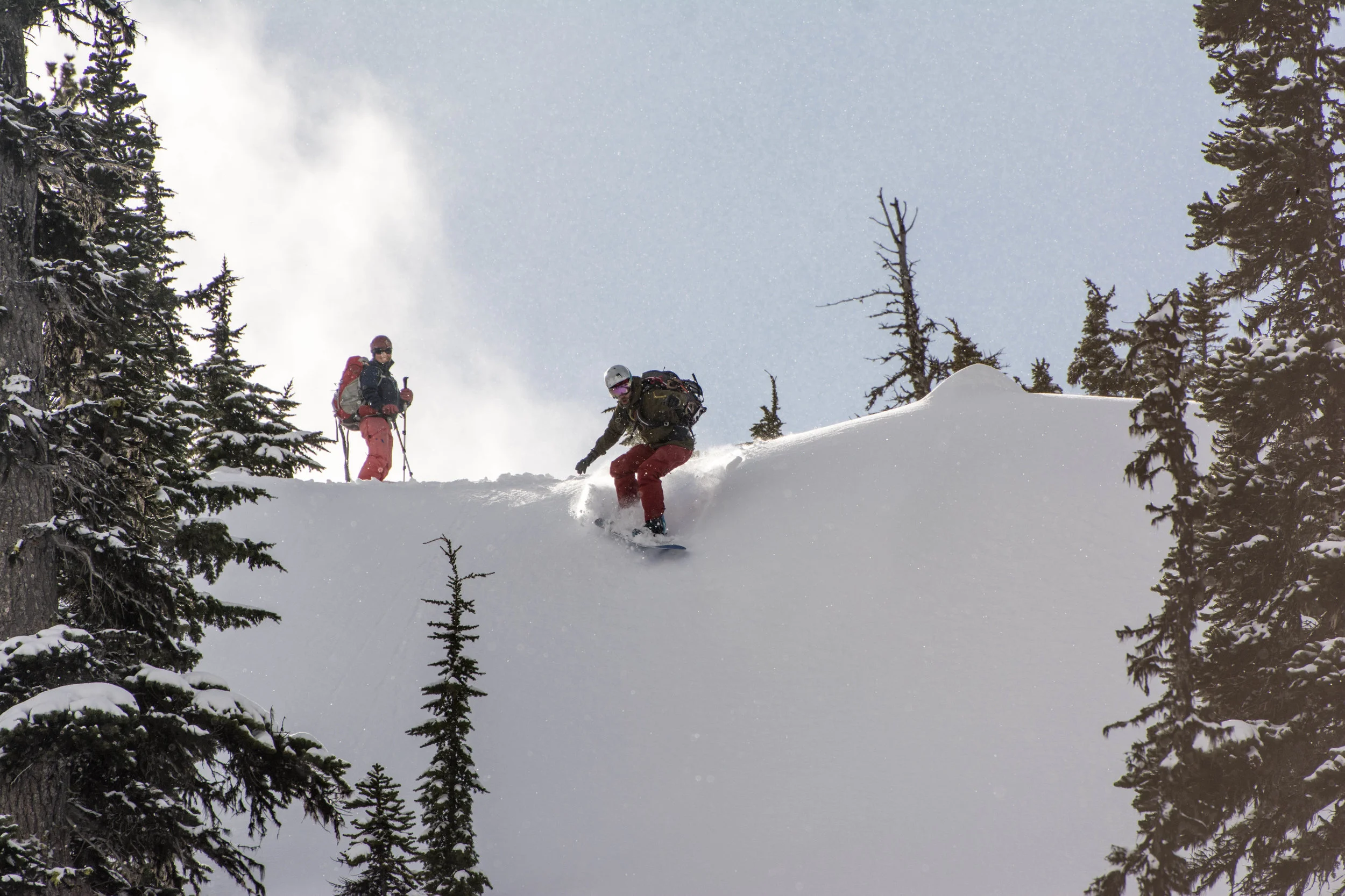 DSC_2496.jpg