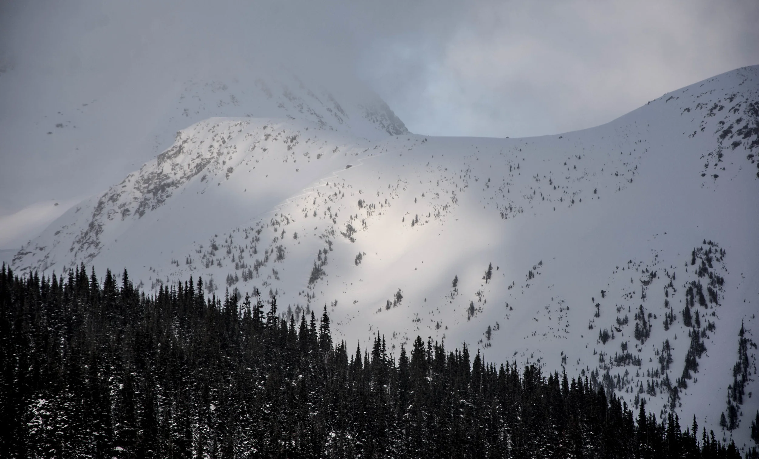 DSC_2726.jpg