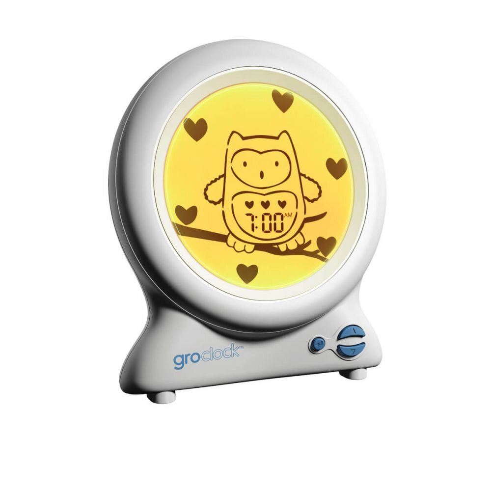 ollie_the_owl_groclock1_2.jpg