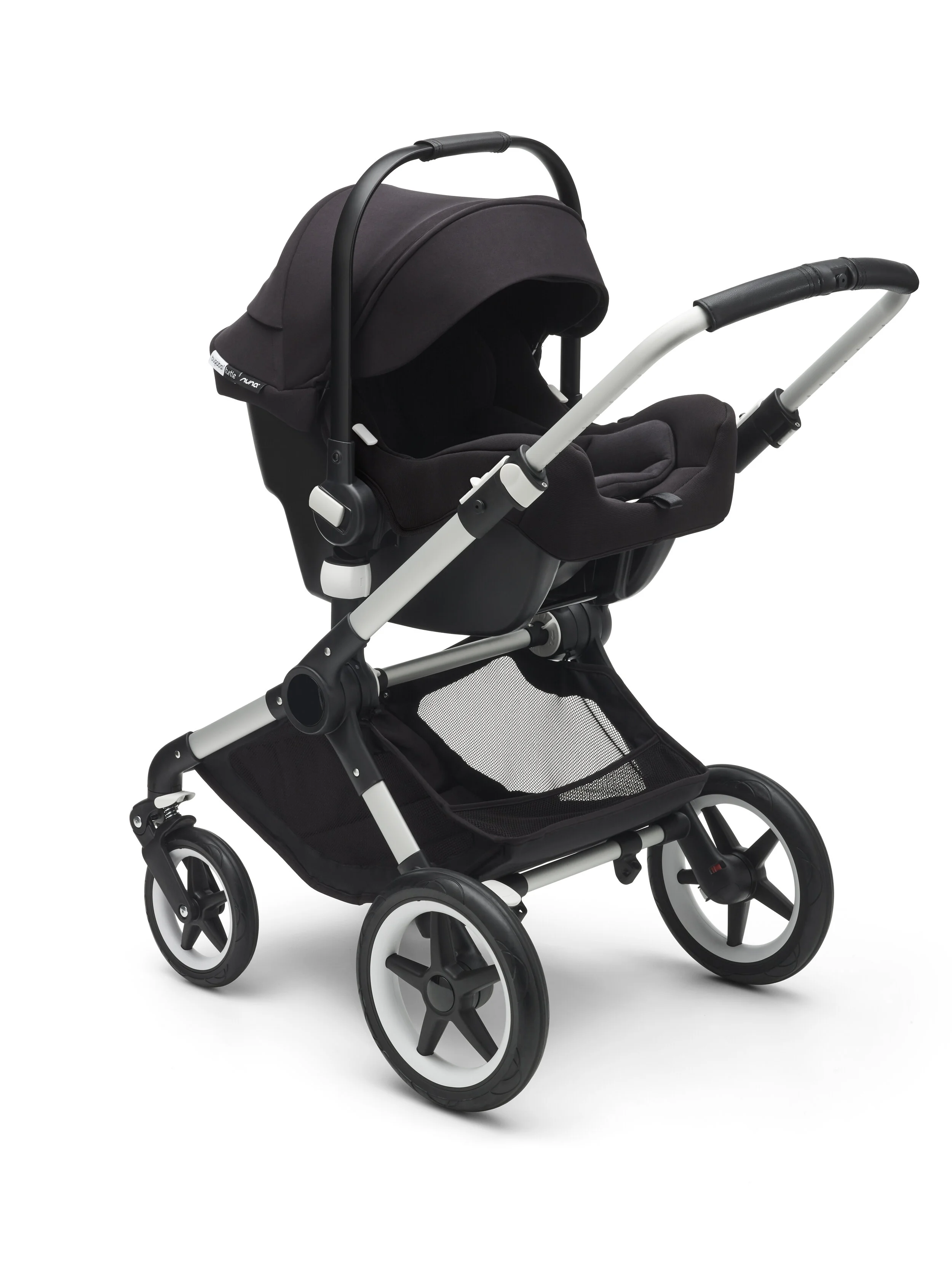 turtle on pram photo 1.jpg