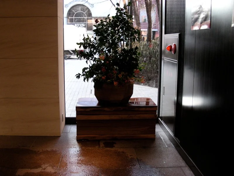 2008 Oak Rokkate Main Branch 六花亭 本店