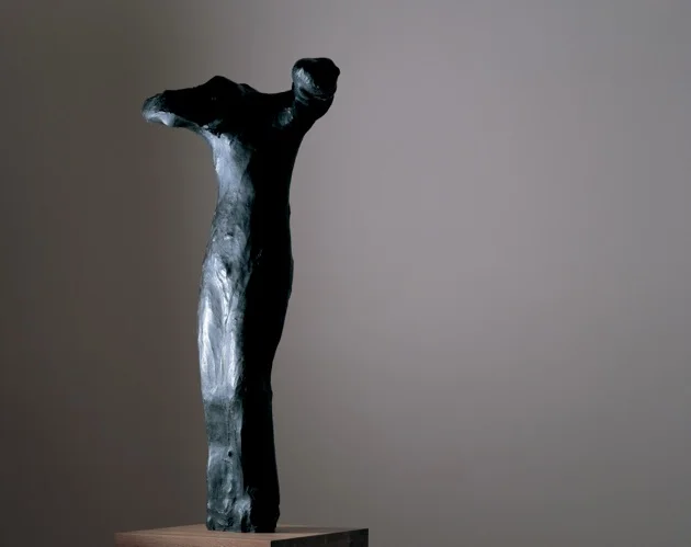Bronze Age, 2007 Bronze, 150 x 70 x 58 cm Photo by Mitsumasa Fujitsuka 藤塚光政 撮影