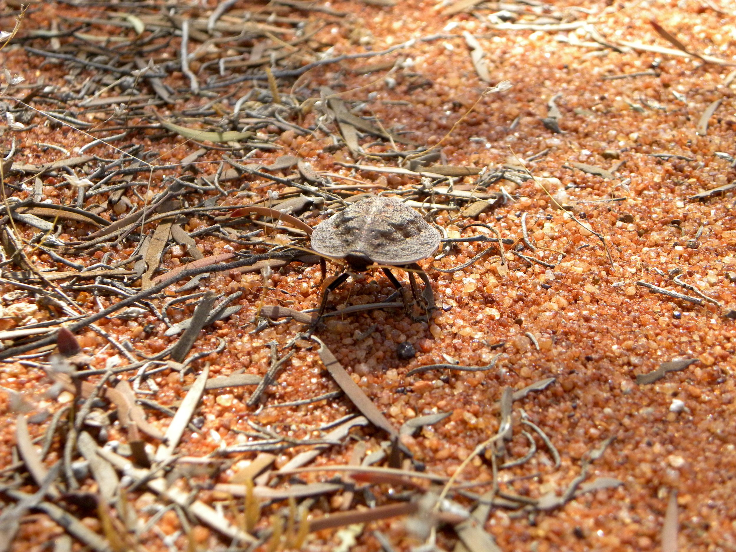 DSCN1025.jpg