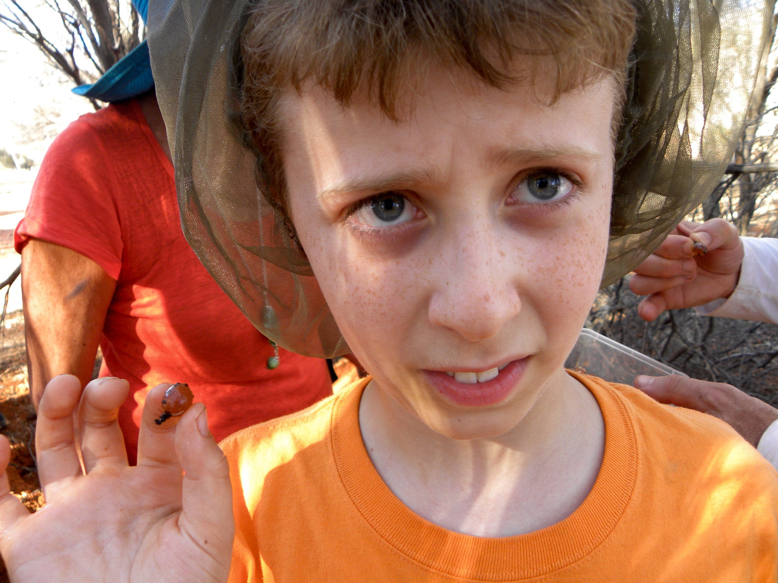 DSCN1137.jpg