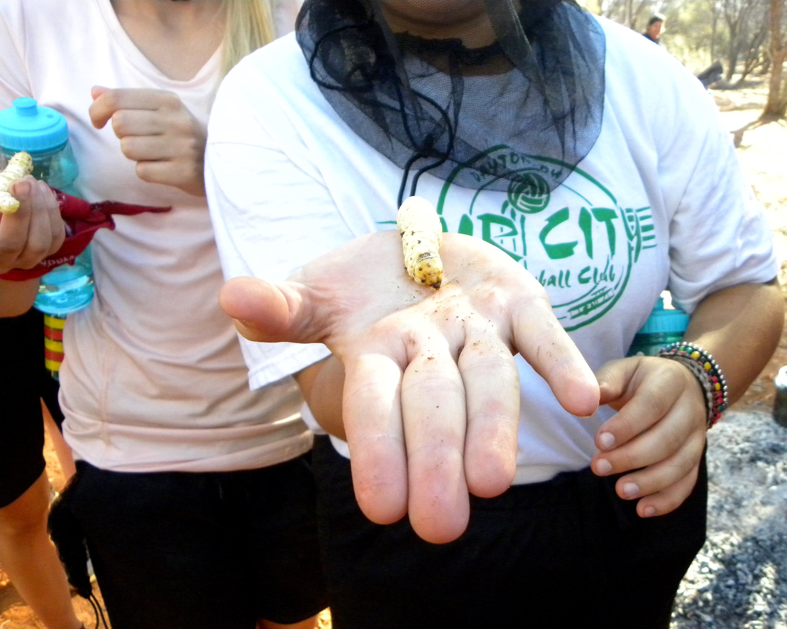 DSCN1153.jpg