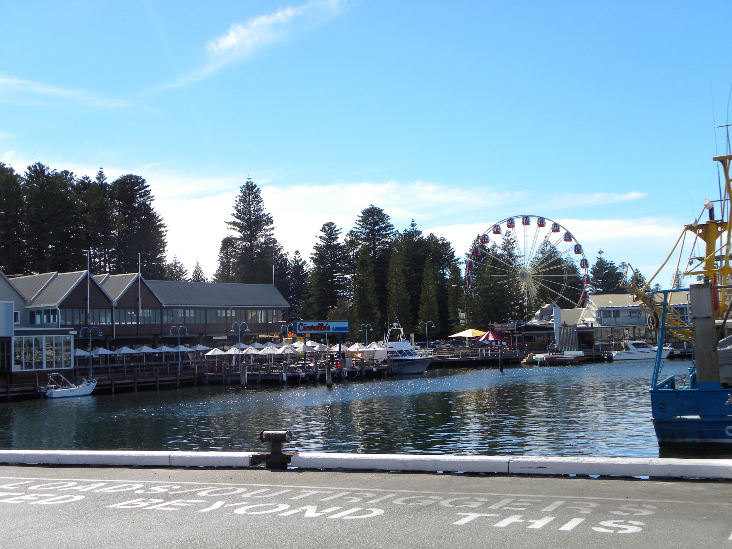 DSCN0928.jpg