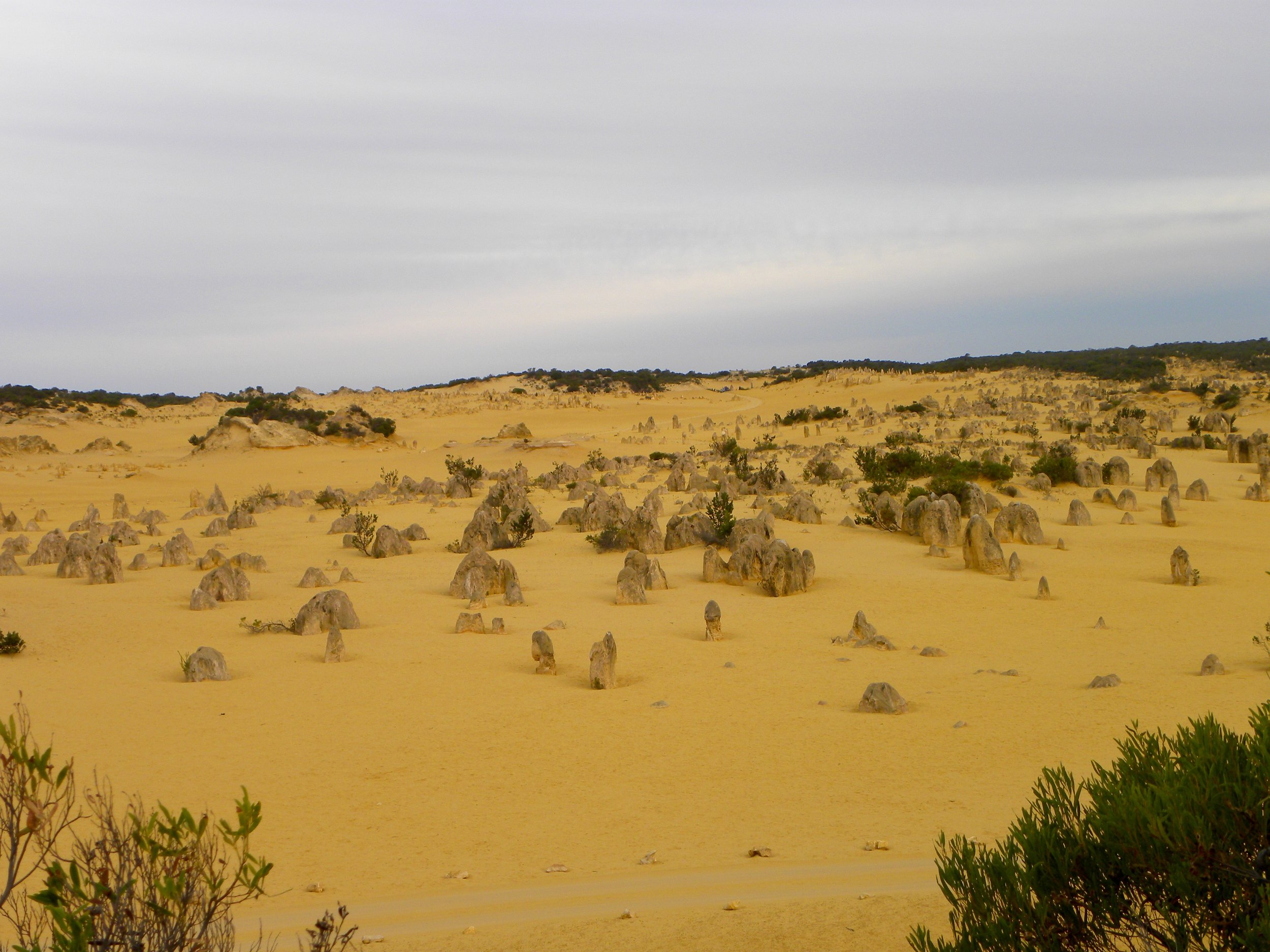 DSCN1232.jpg