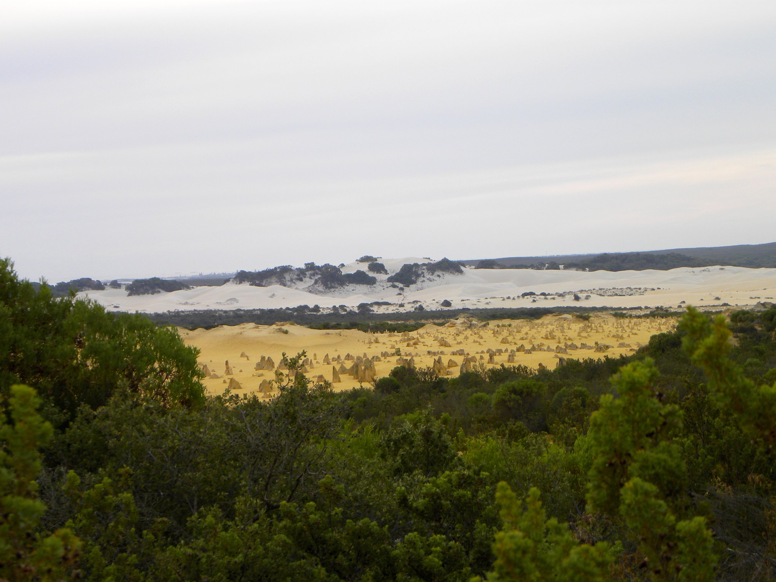 DSCN1233.jpg