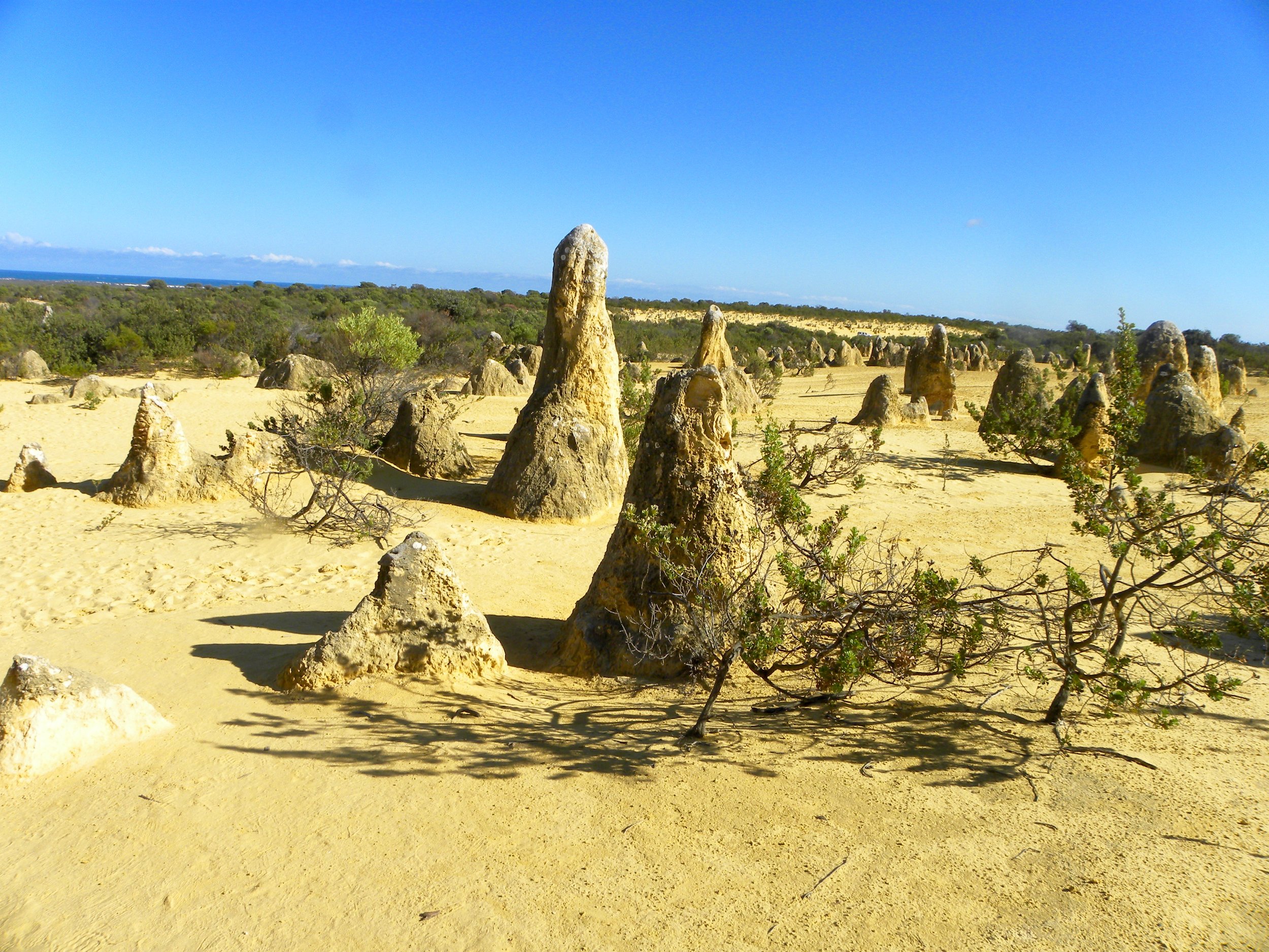 DSCN1261.jpg