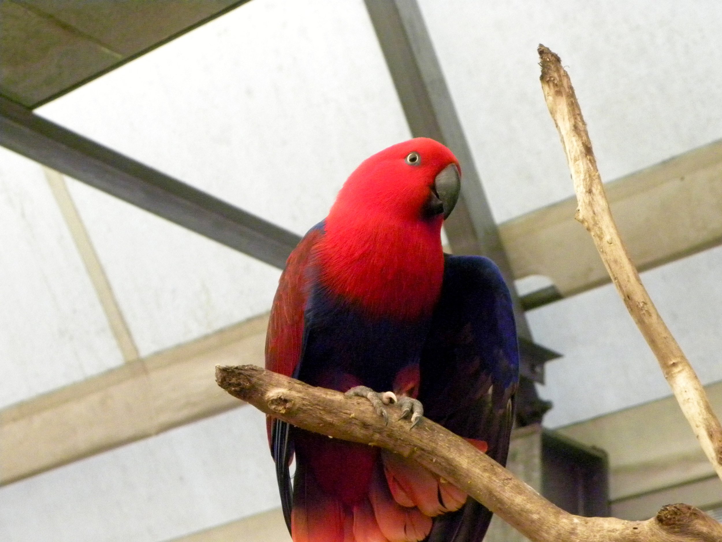 DSCN1317.jpg