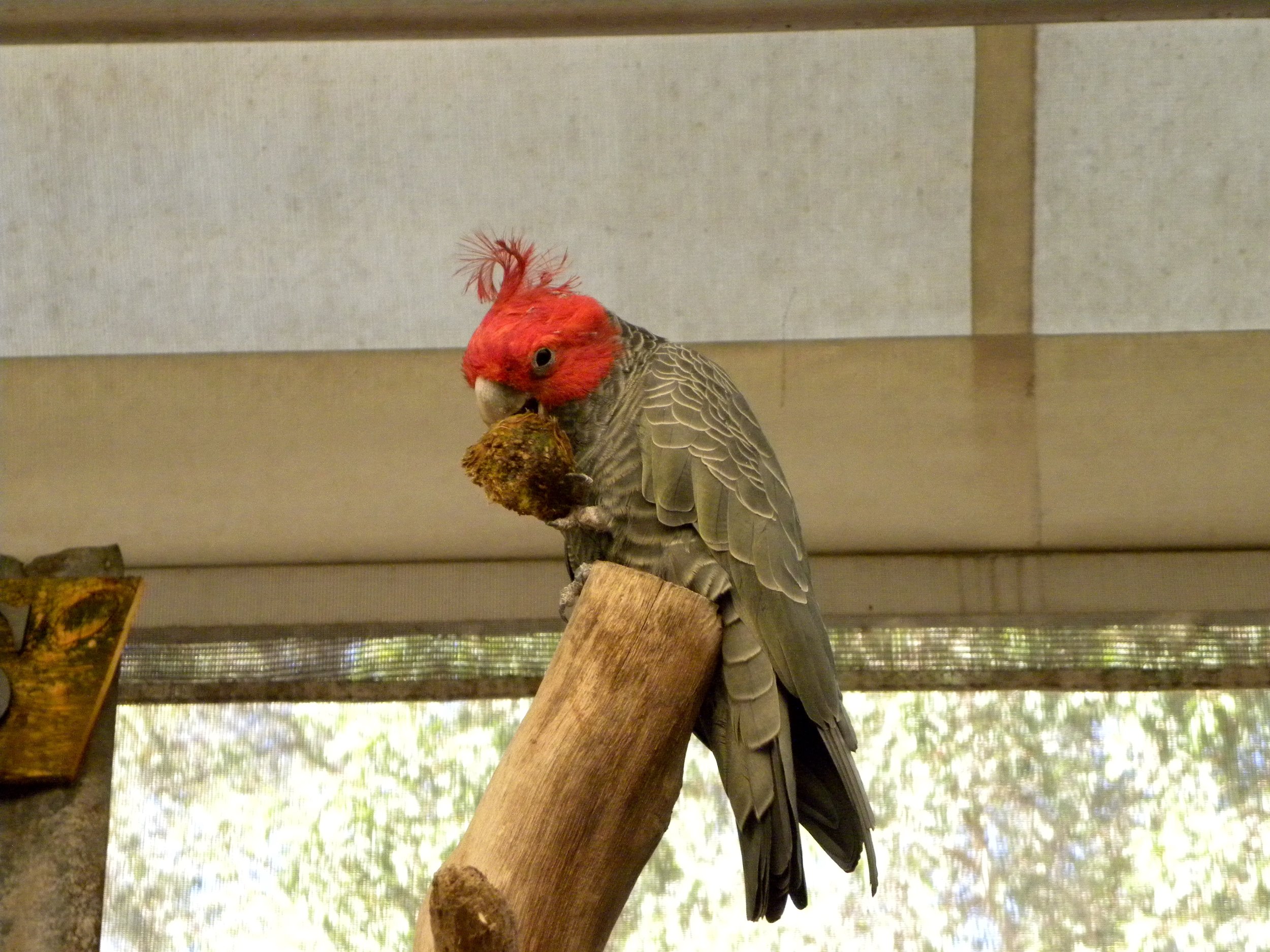 DSCN1315.jpg